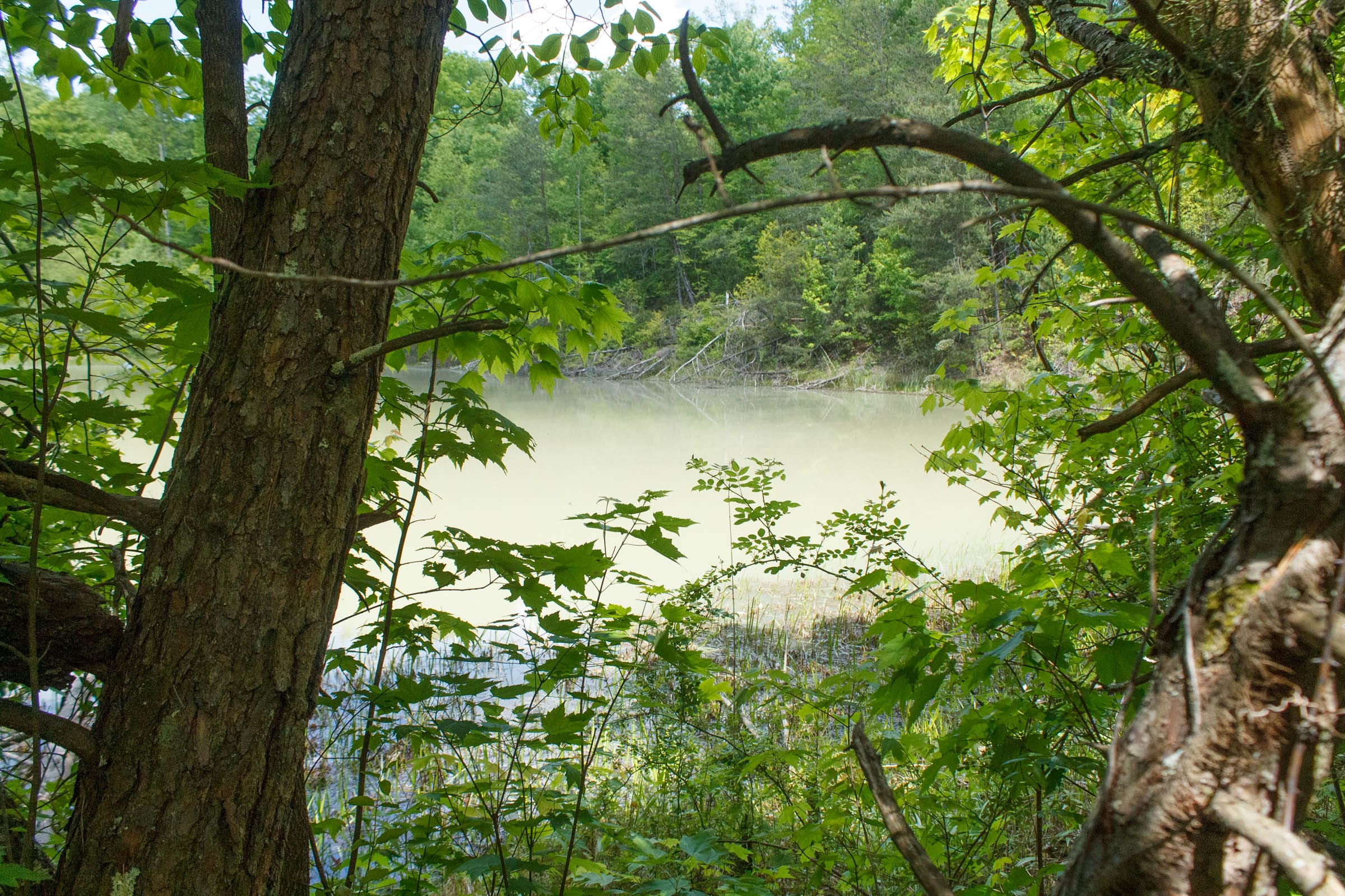 Riverbend Tract 33 photo 2