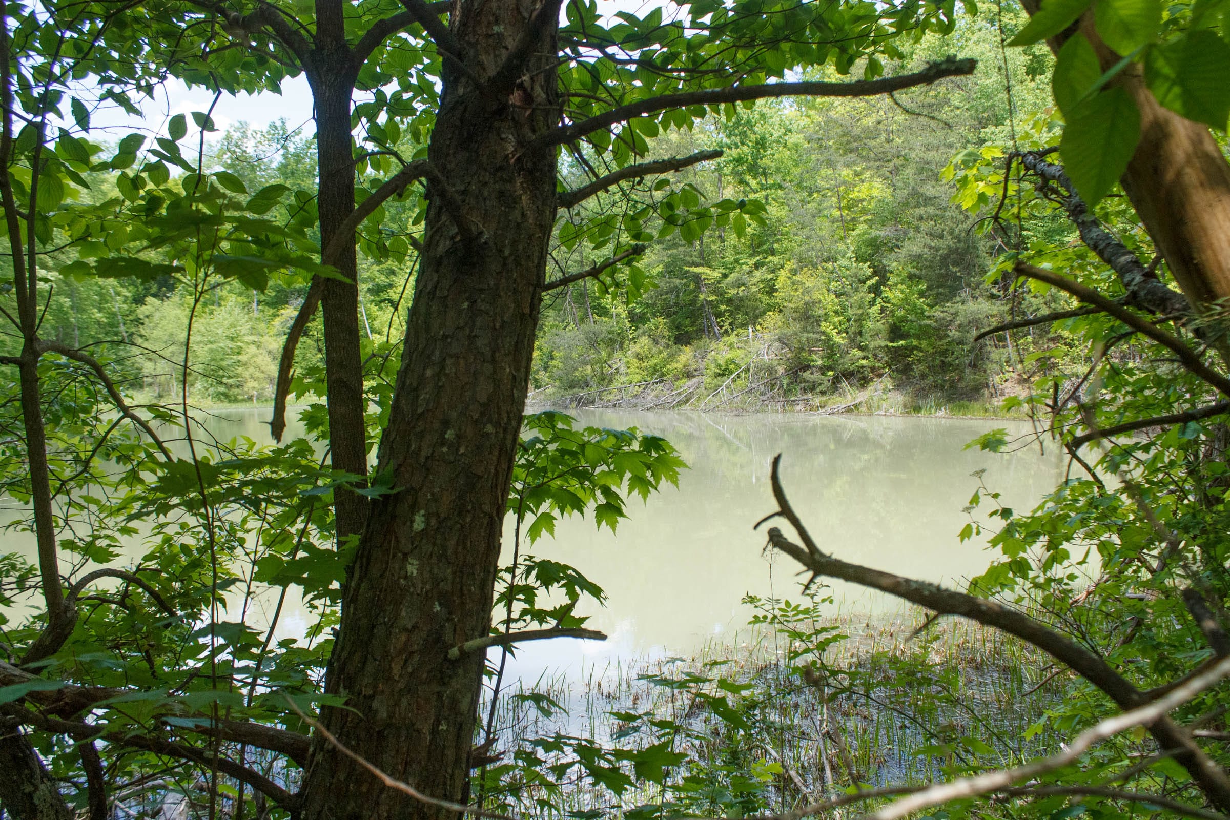 Riverbend Tract 33 photo 3