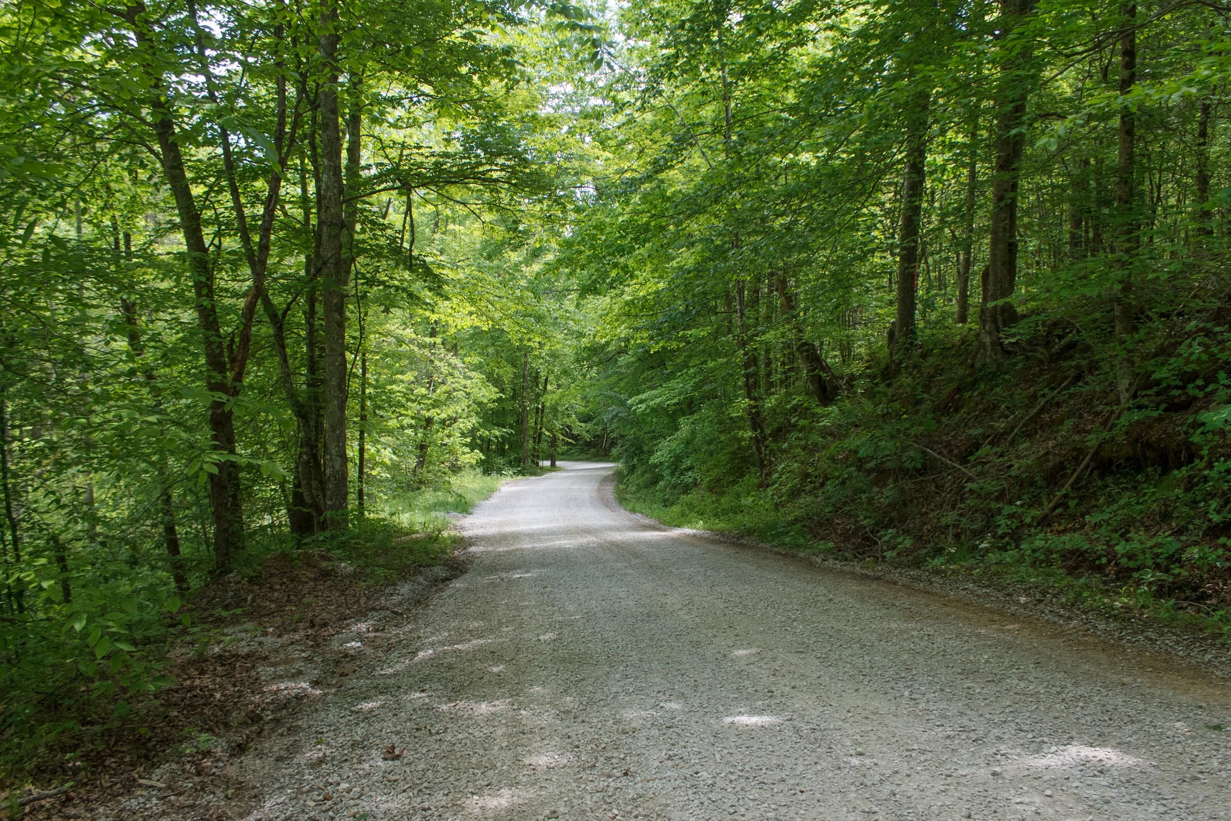 Riverbend Tract 33 photo 13