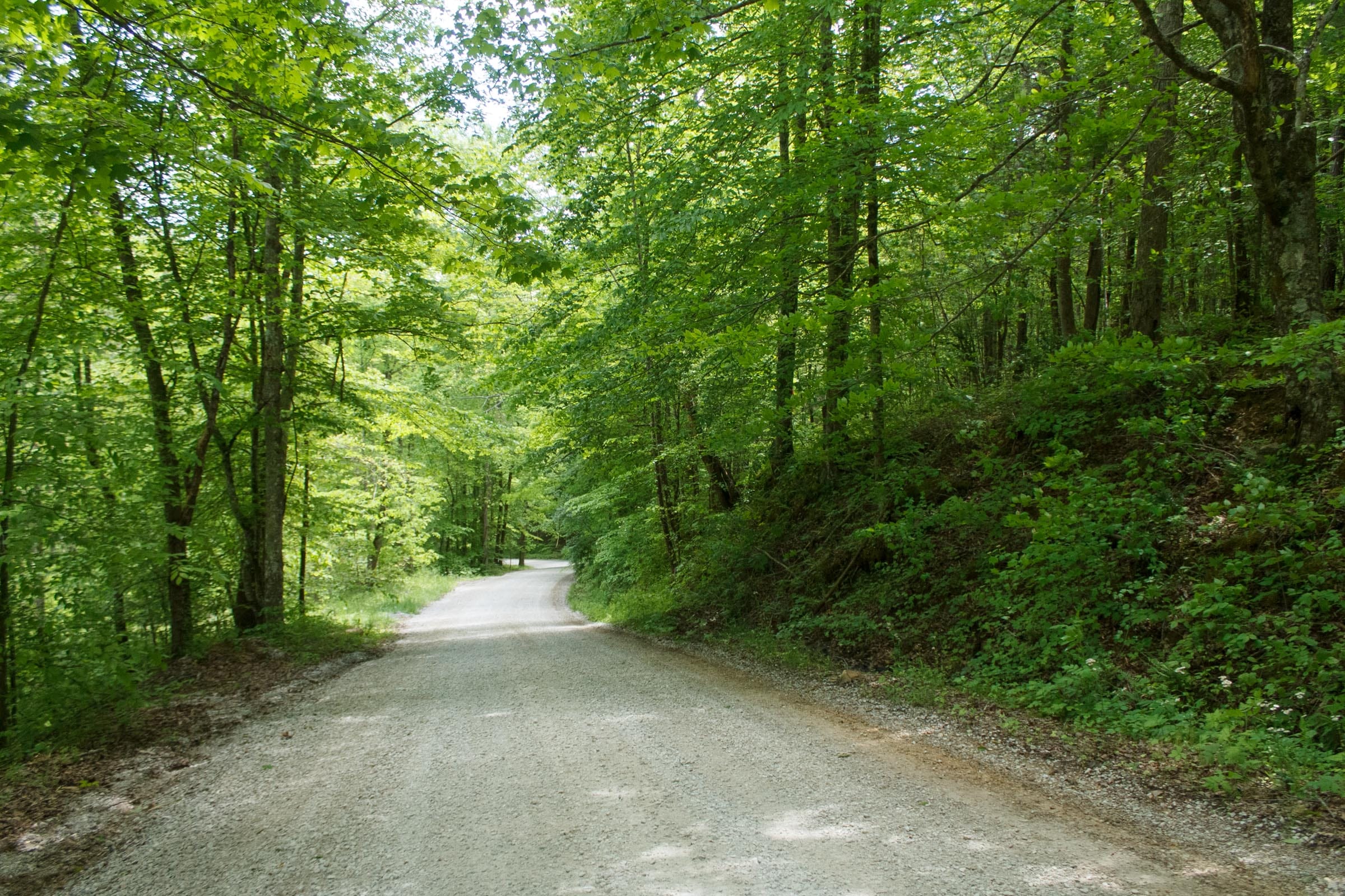 Riverbend Tract 33 photo 17