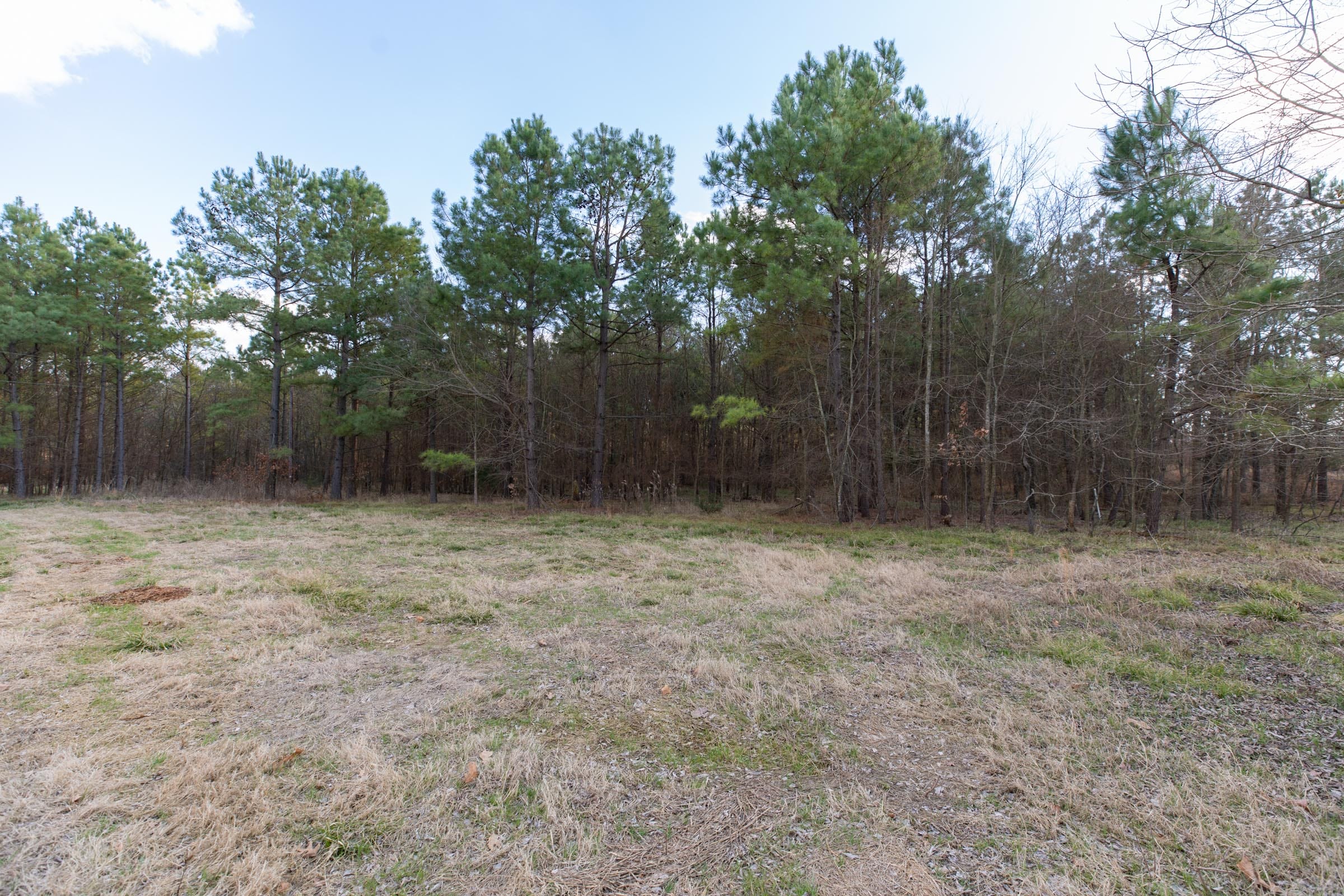 Wishing Star Ranch Tract 40 photo 4