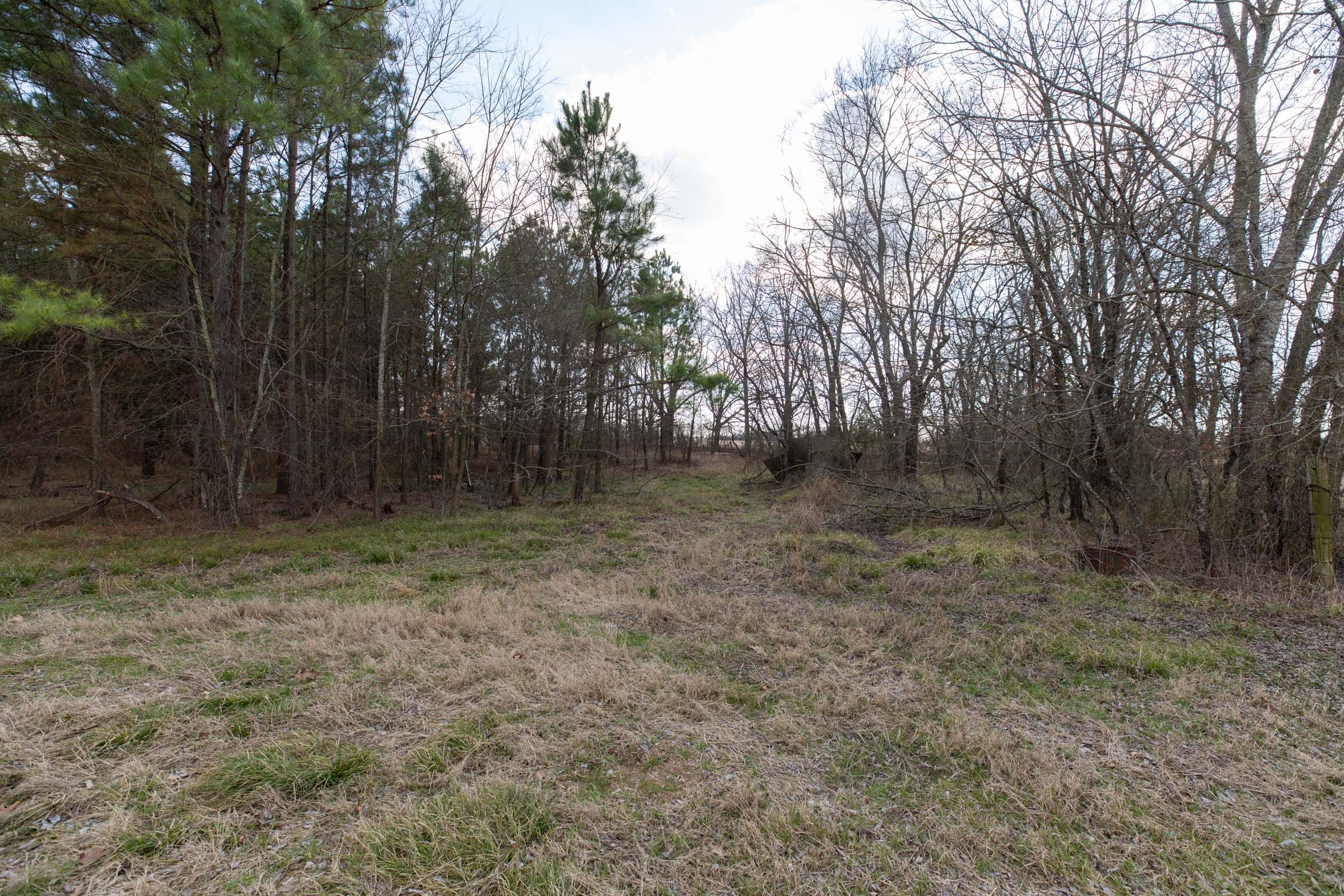Wishing Star Ranch Tract 40 photo 5