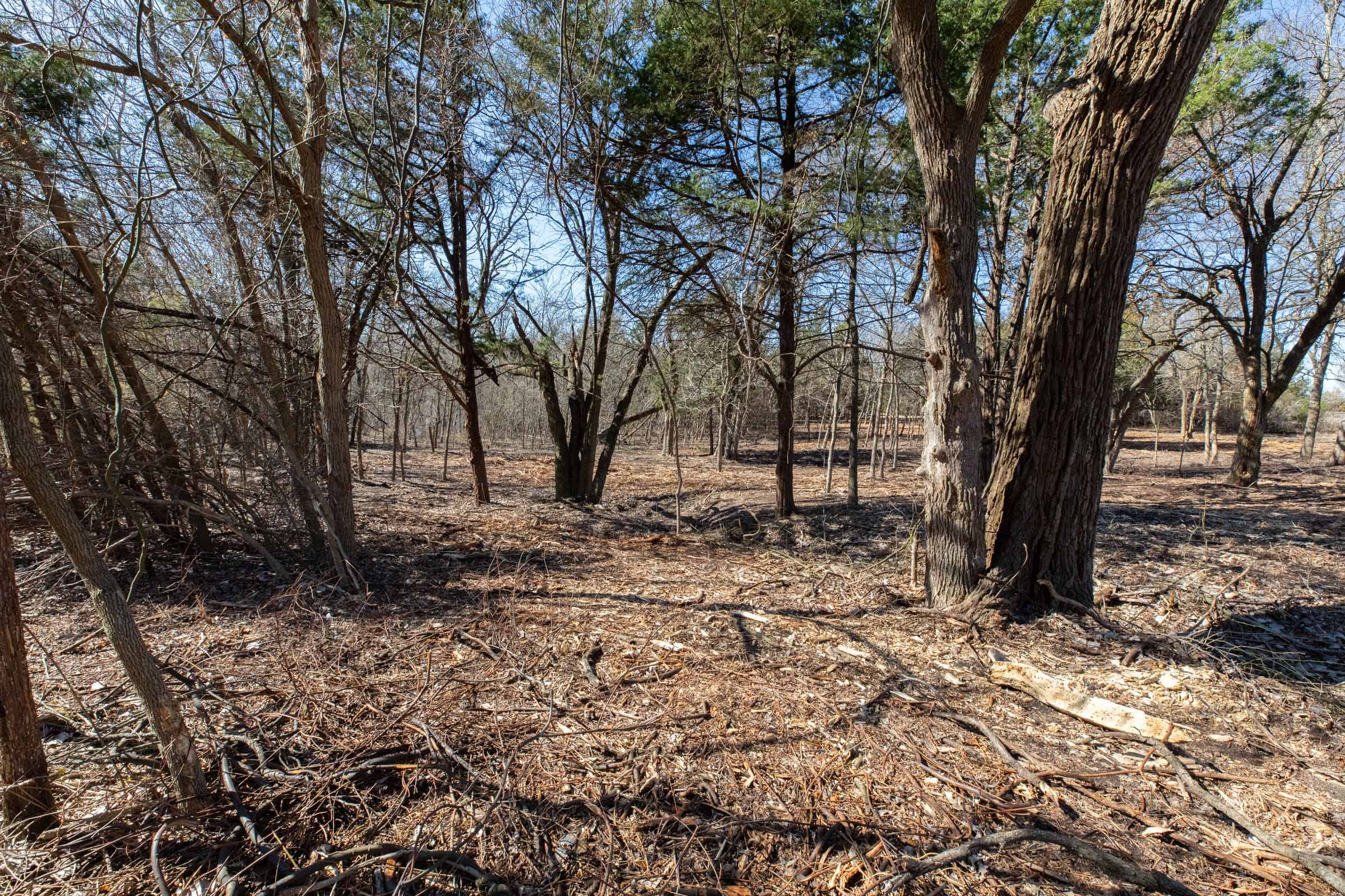 Wishing Star Ranch Tract 40 photo 8