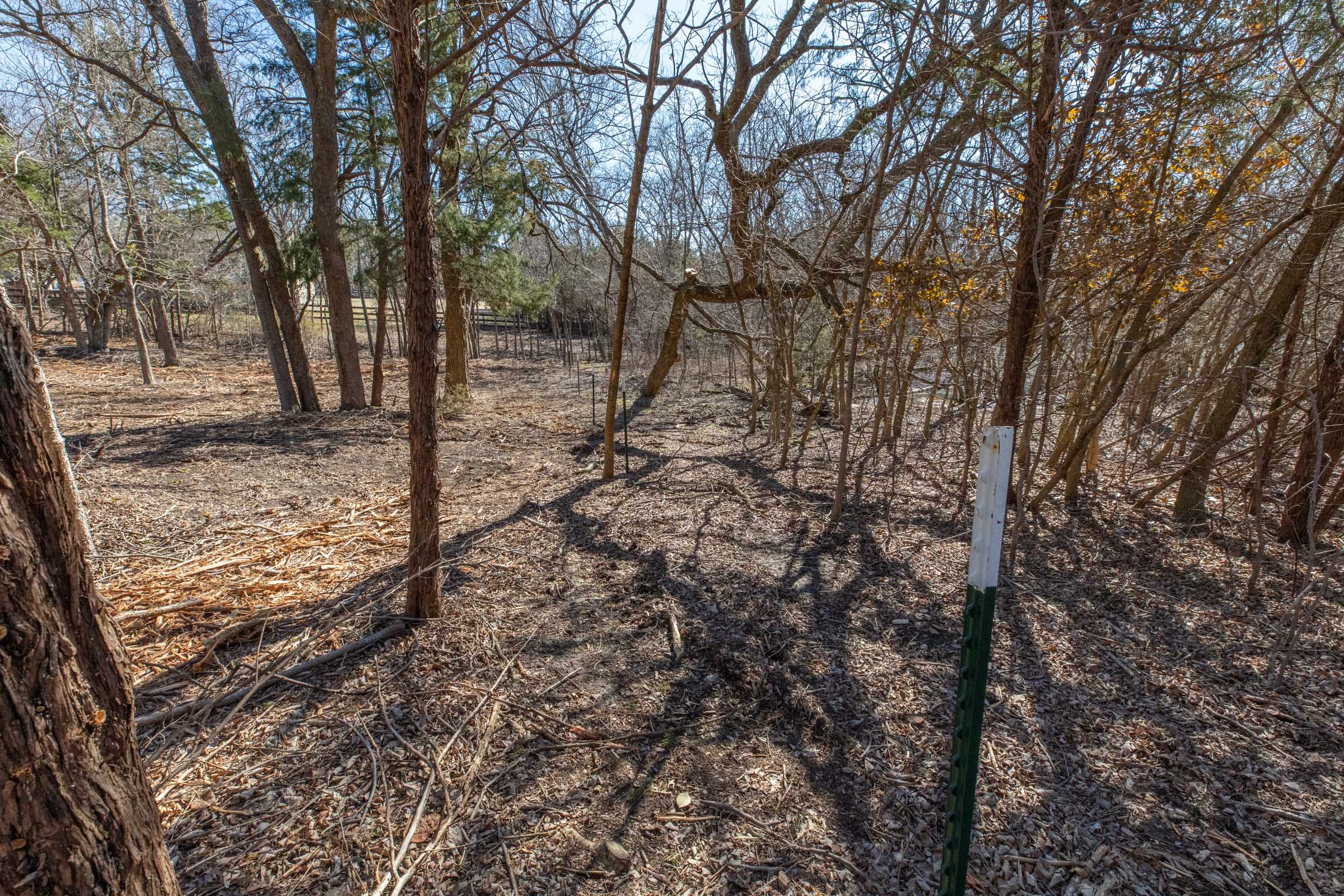 Wishing Star Ranch Tract 40 photo 9