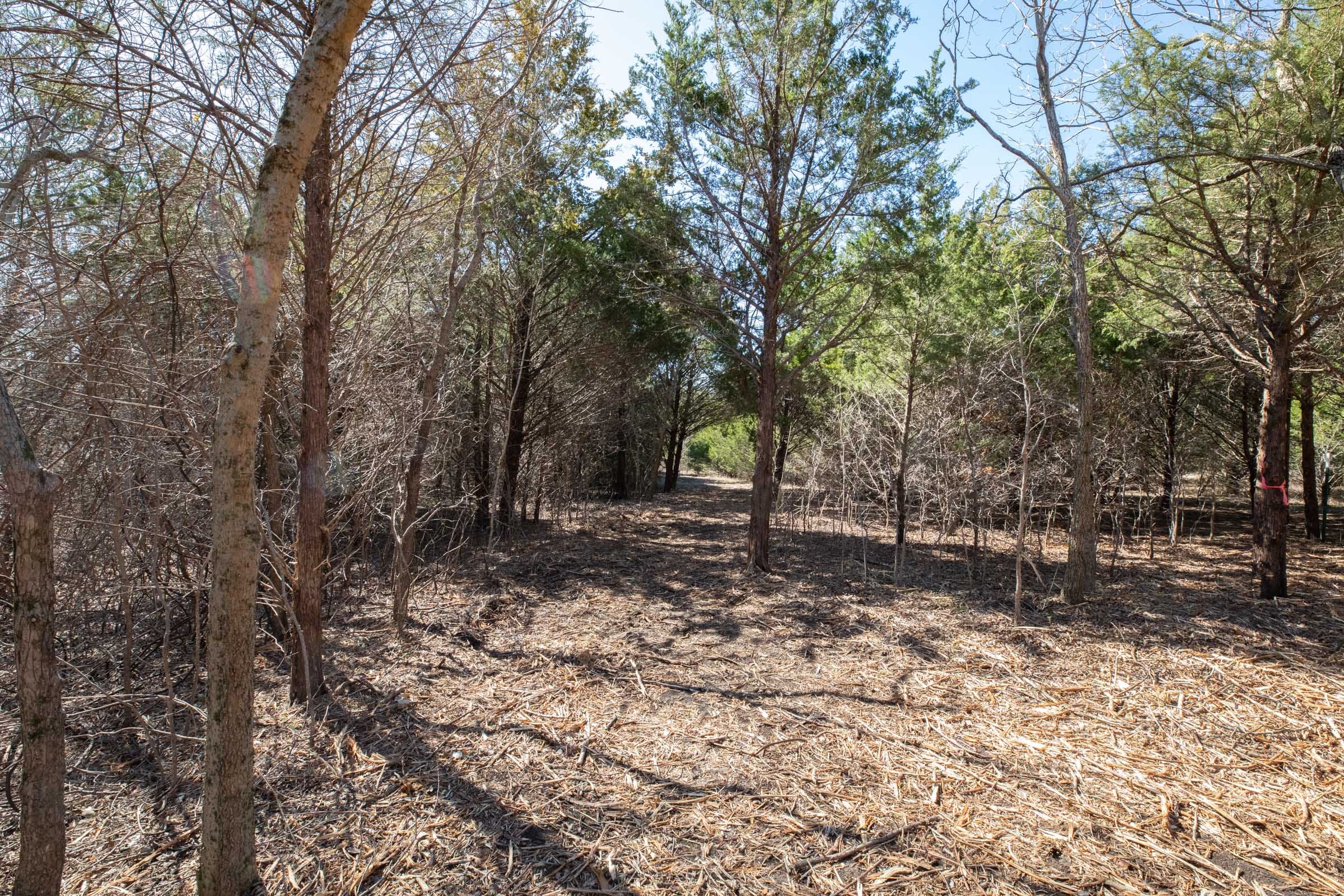 Wishing Star Ranch Tract 40 photo 10