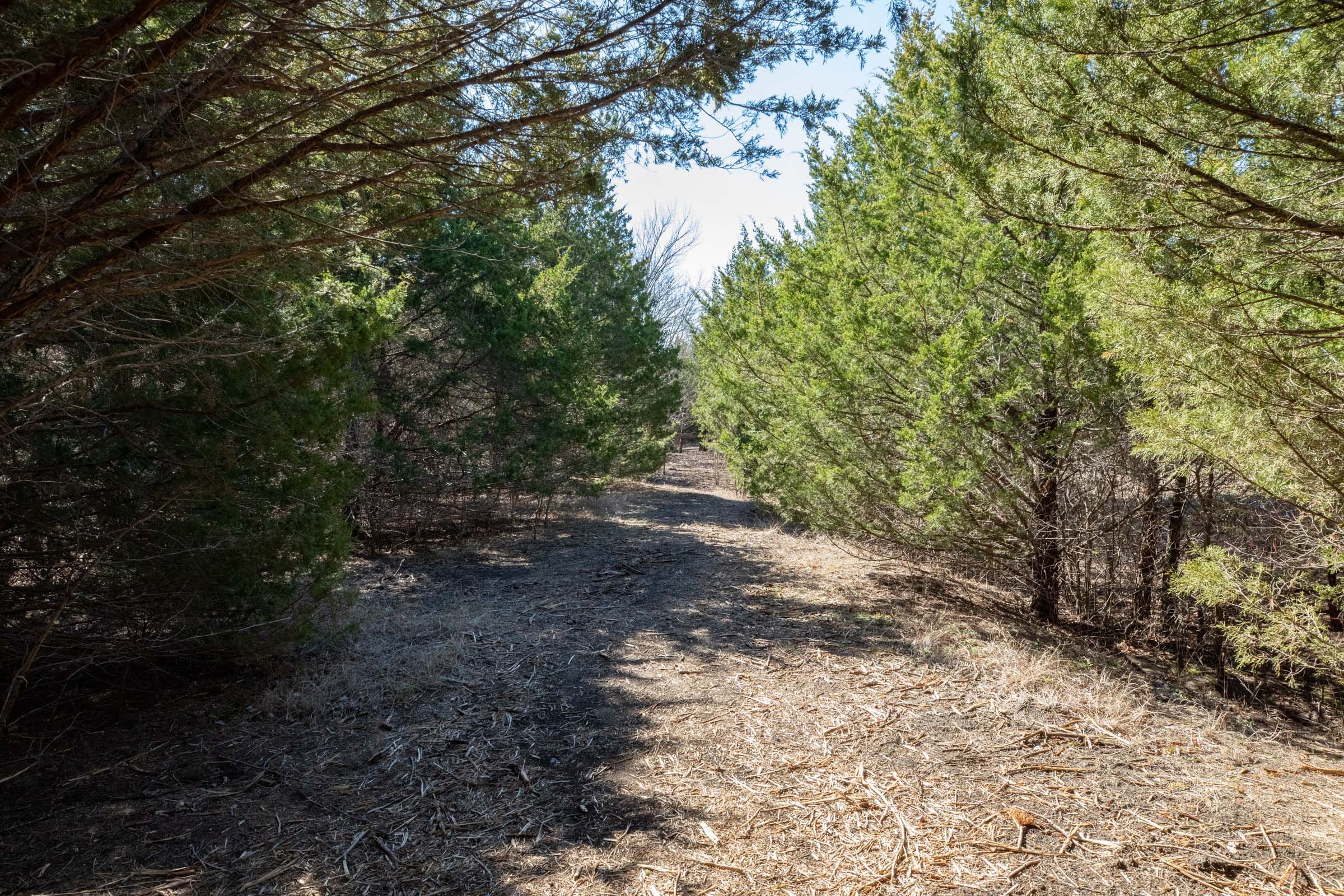 Wishing Star Ranch Tract 40 photo 11