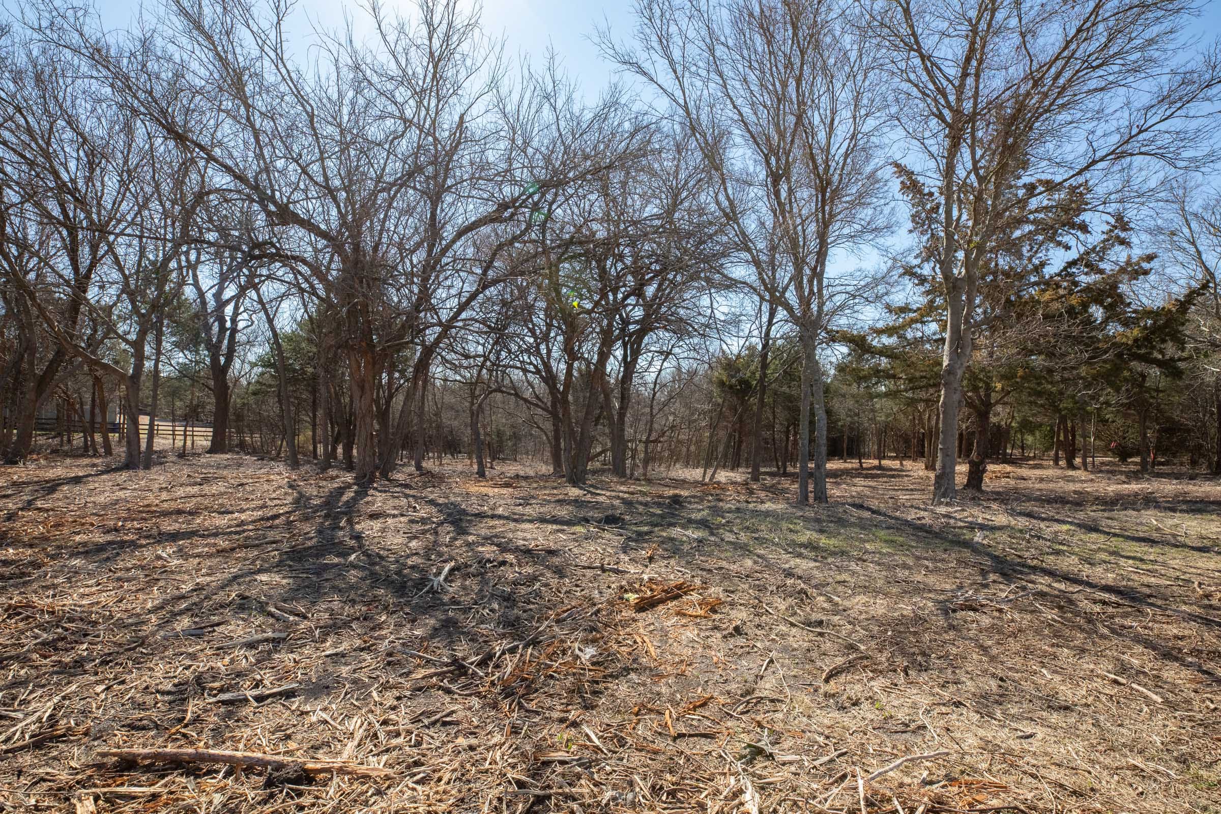 Wishing Star Ranch Tract 40 photo 12