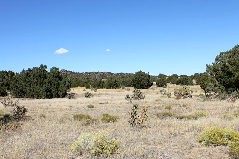 Black Diamond Park Tract 15 photo 1