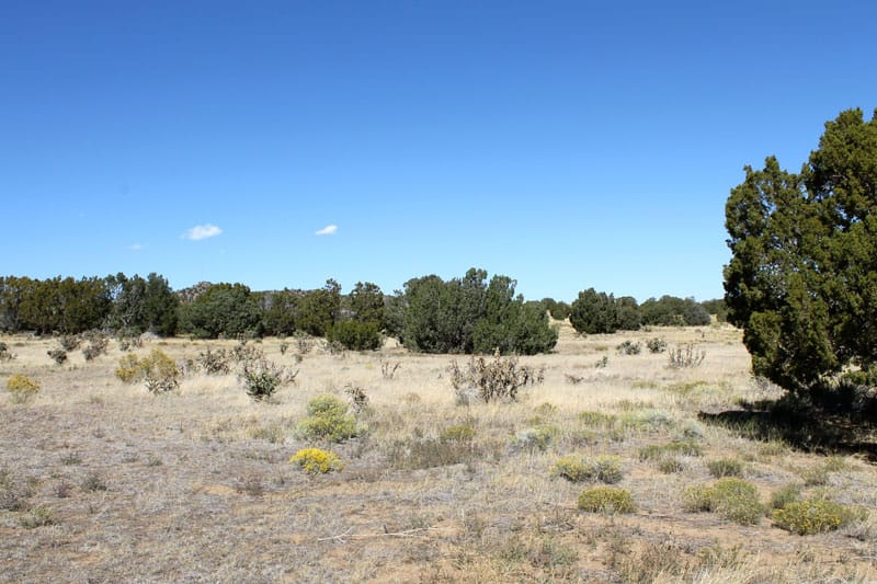 Black Diamond Park Tract 15 photo 9