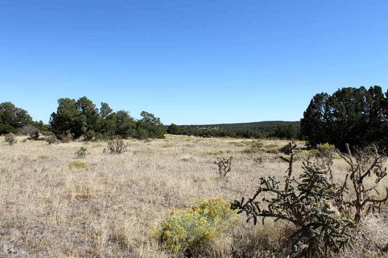 Black Diamond Park Tract 15 photo 12