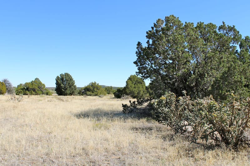 Black Diamond Park Tract 15 photo 13