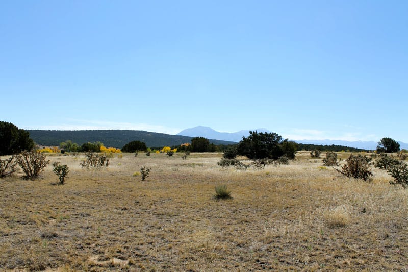 Black Diamond Park Tract 15 photo 15