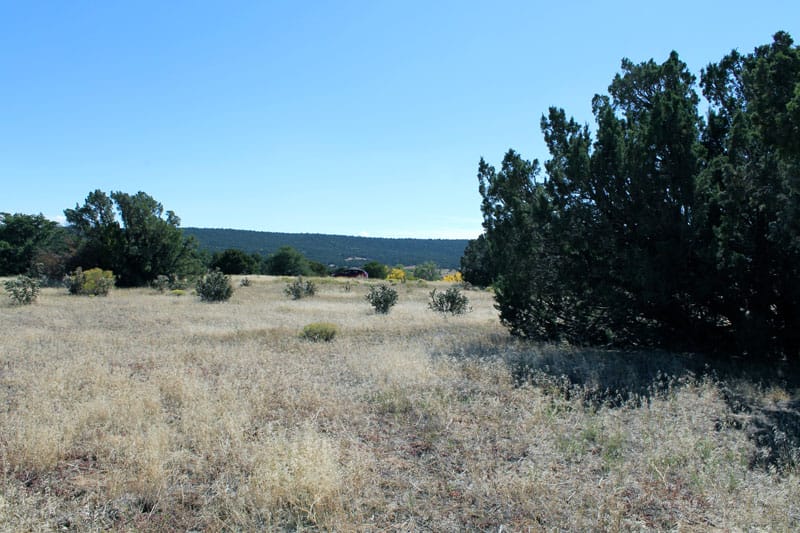 Black Diamond Park Tract 15 photo 18