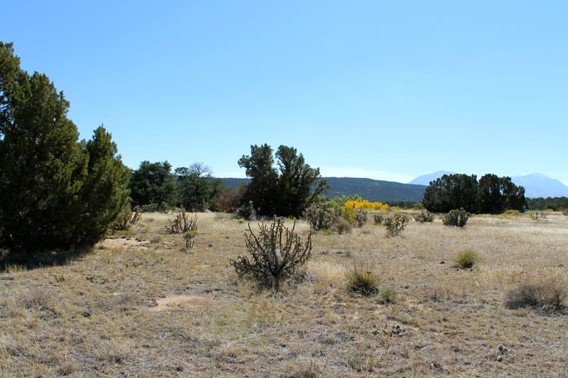Black Diamond Park Tract 15 photo 20