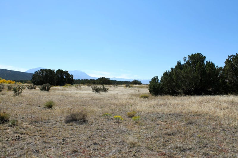 Black Diamond Park Tract 15 photo 21
