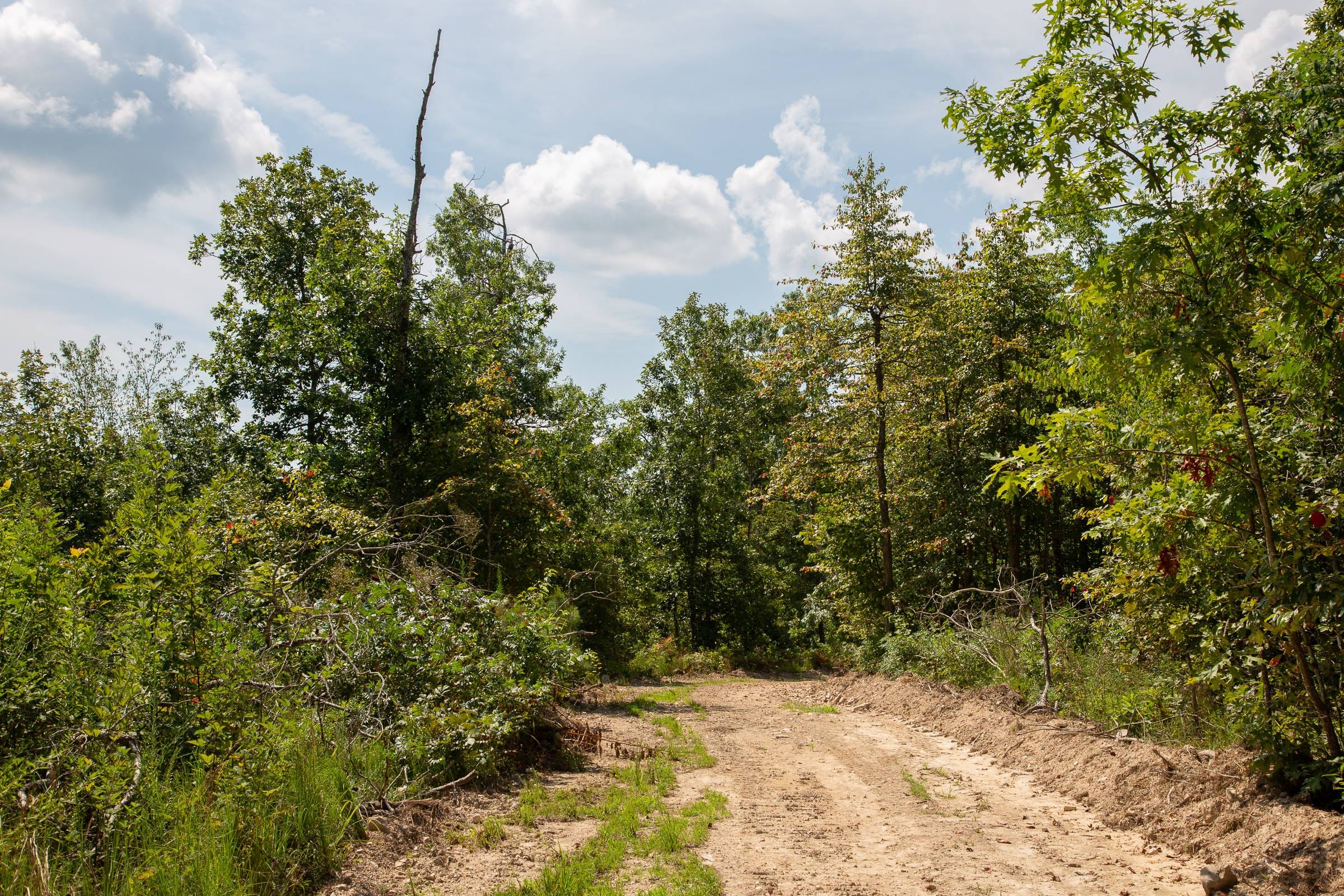 Borgmann’s Hollow Phase I Tract 2 photo 6