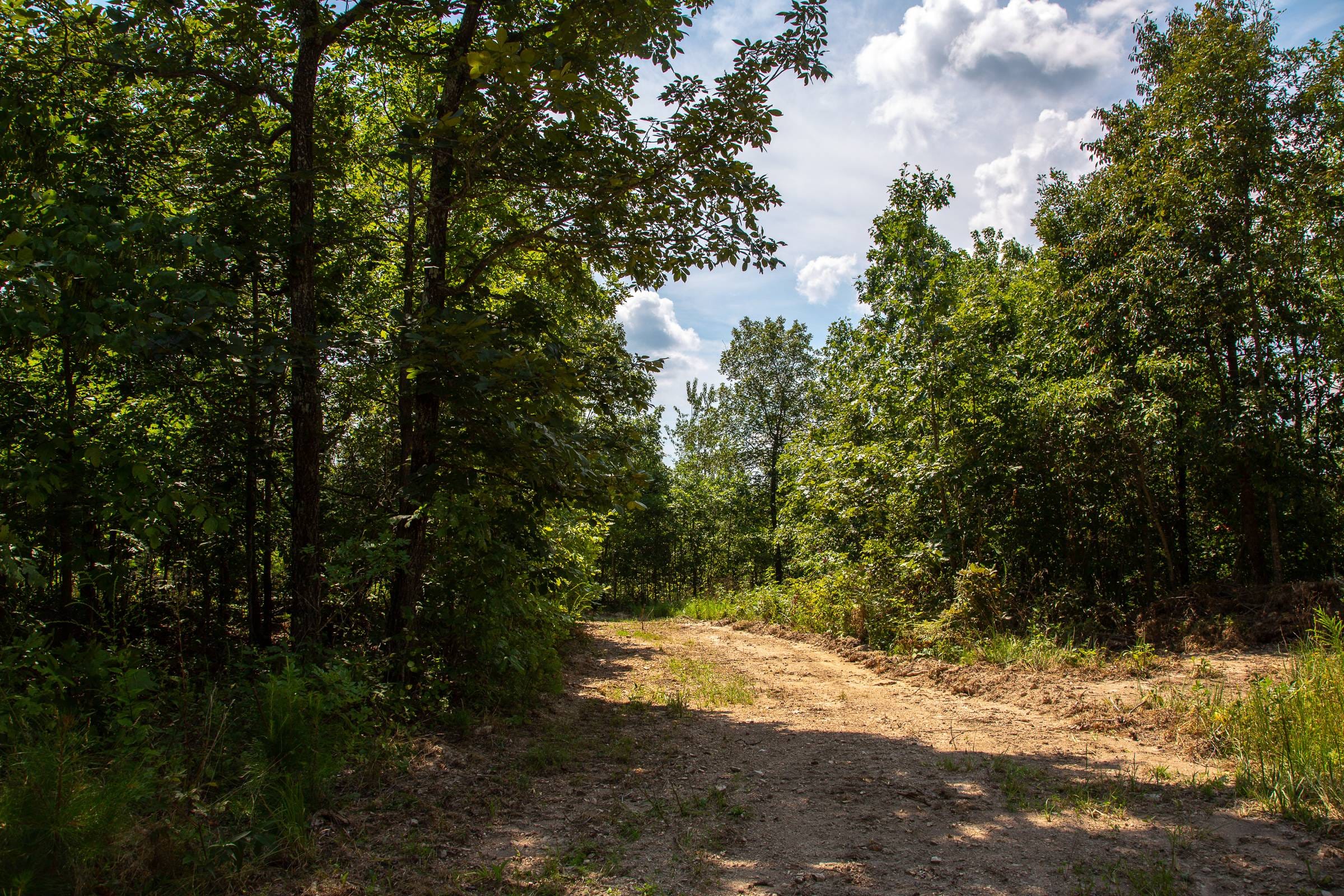 Borgmann’s Hollow Phase I Tract 2 photo 10