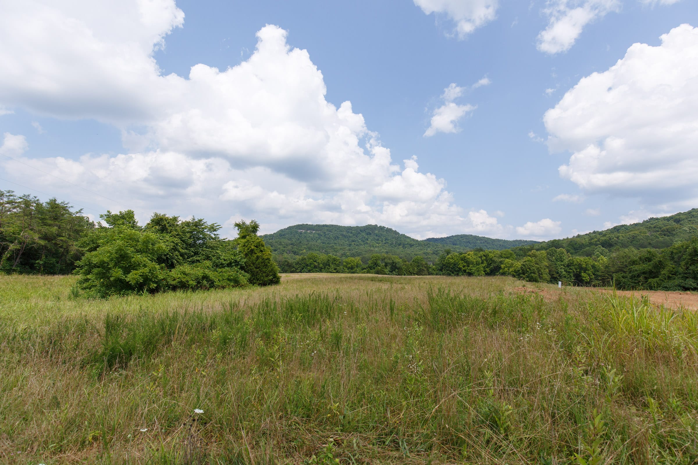 Rolling Hills Tract 24 photo 3
