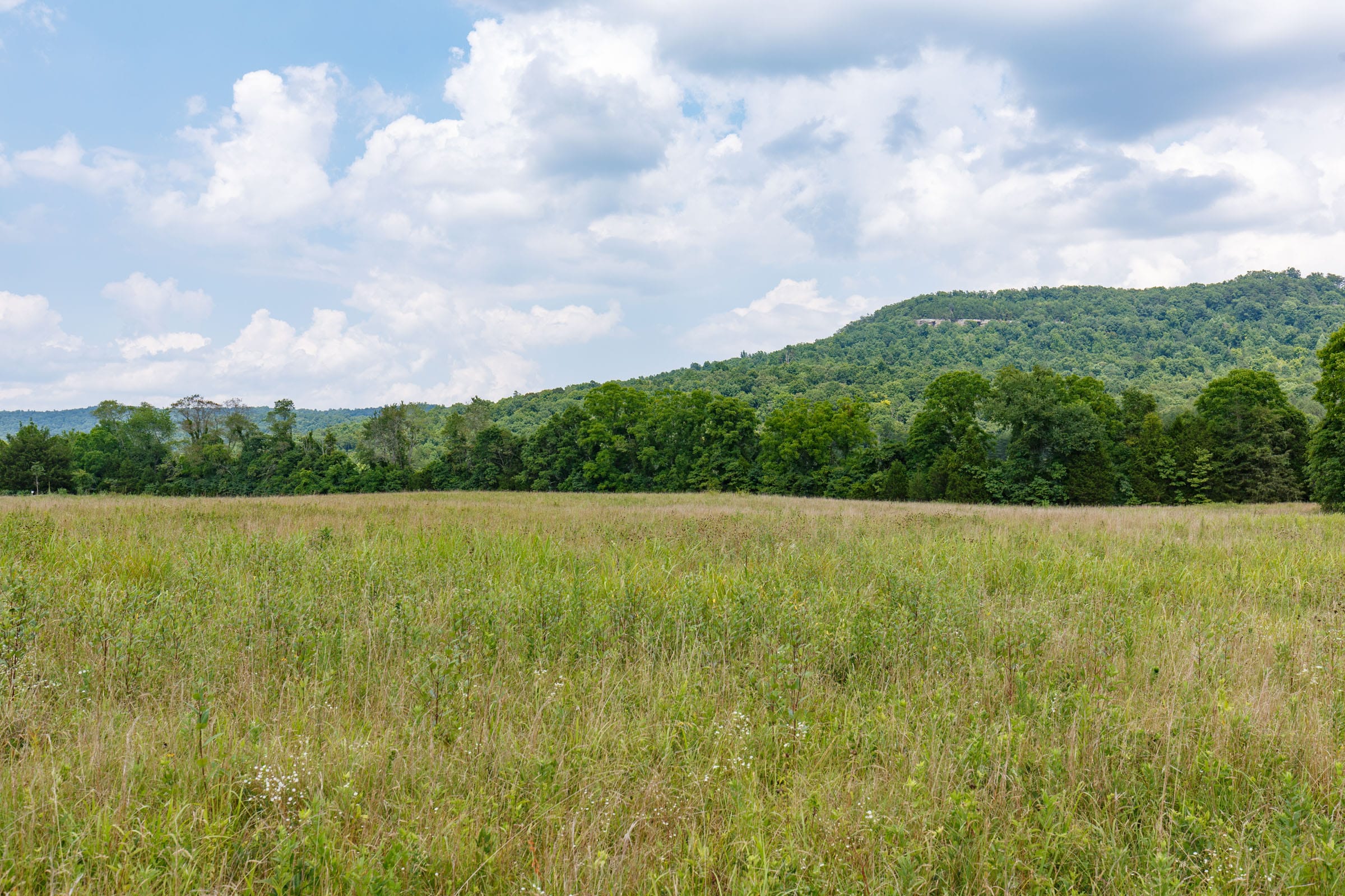 Rolling Hills Tract 24 photo 9