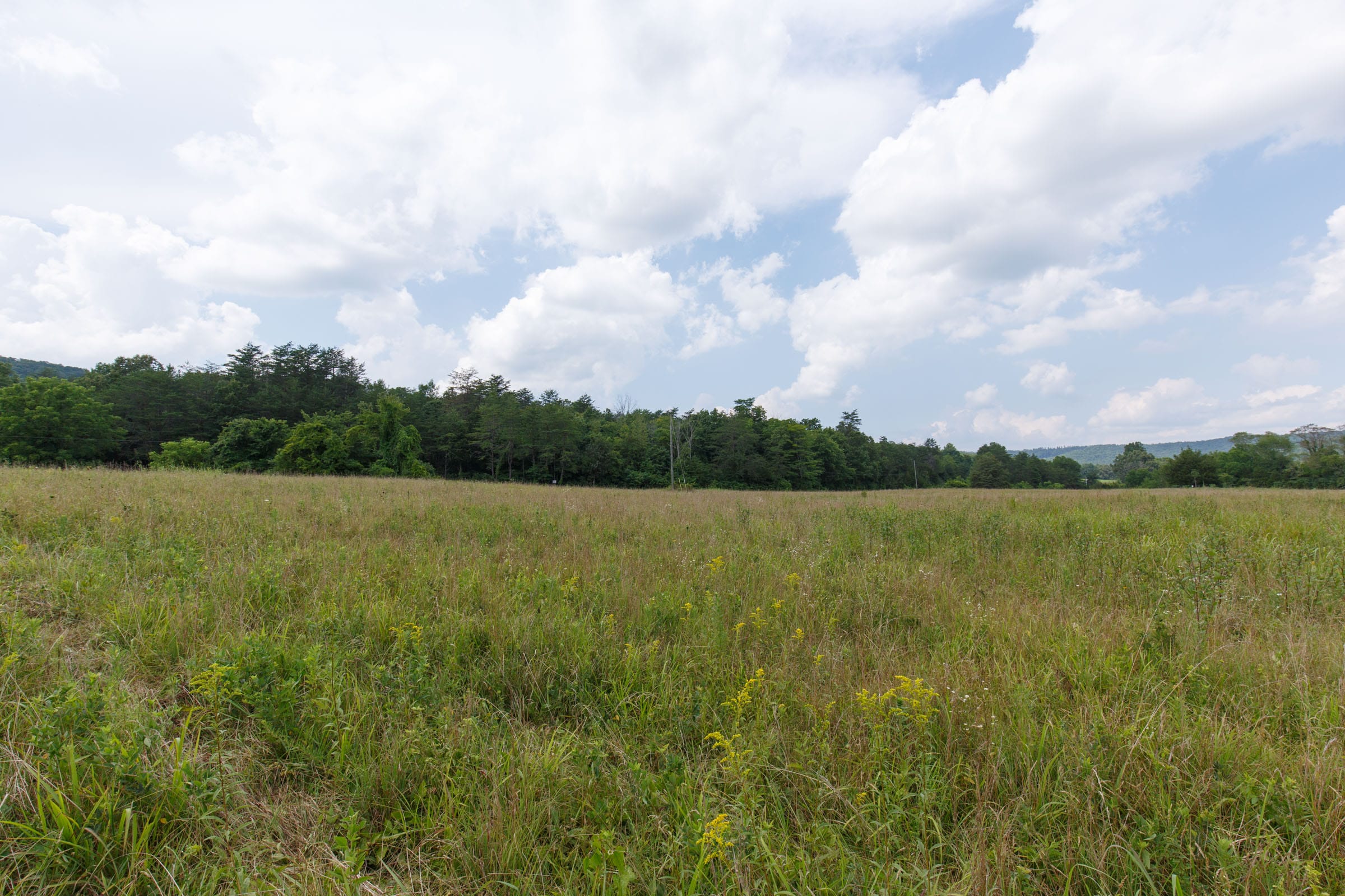 Rolling Hills Tract 24 photo 5