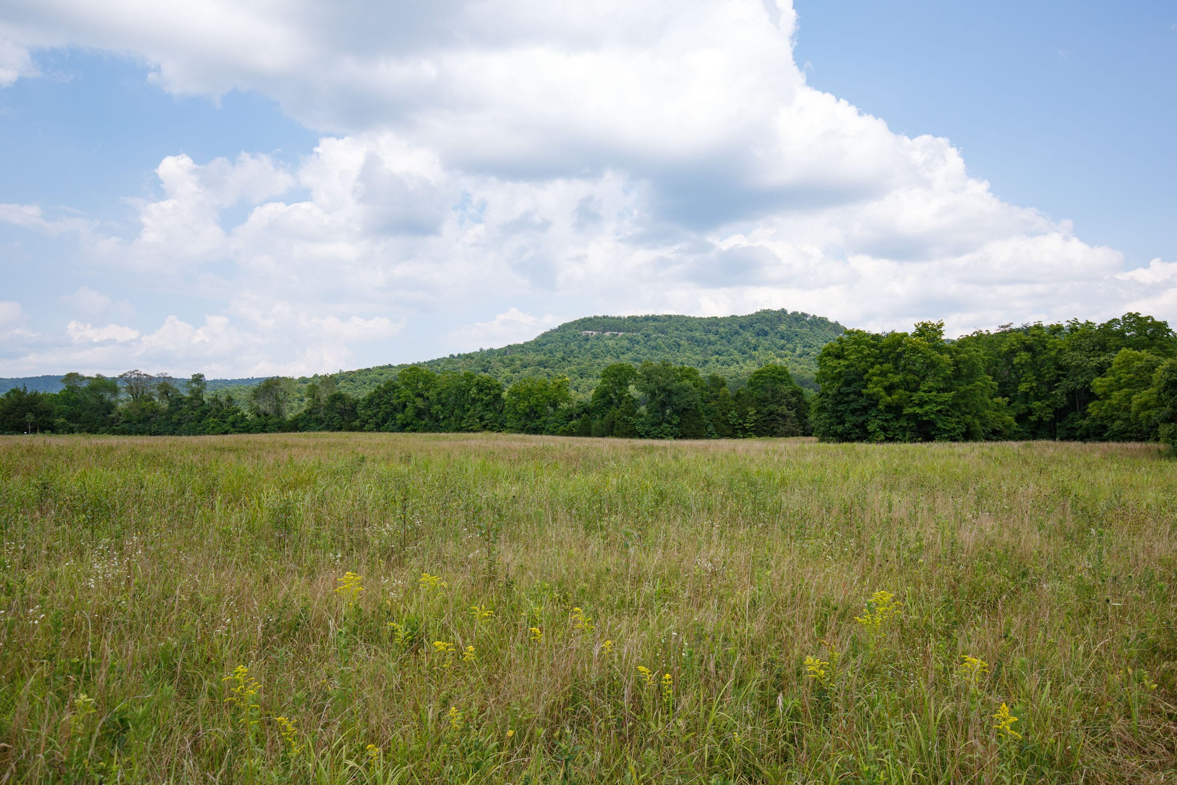 Rolling Hills Tract 24 photo 7