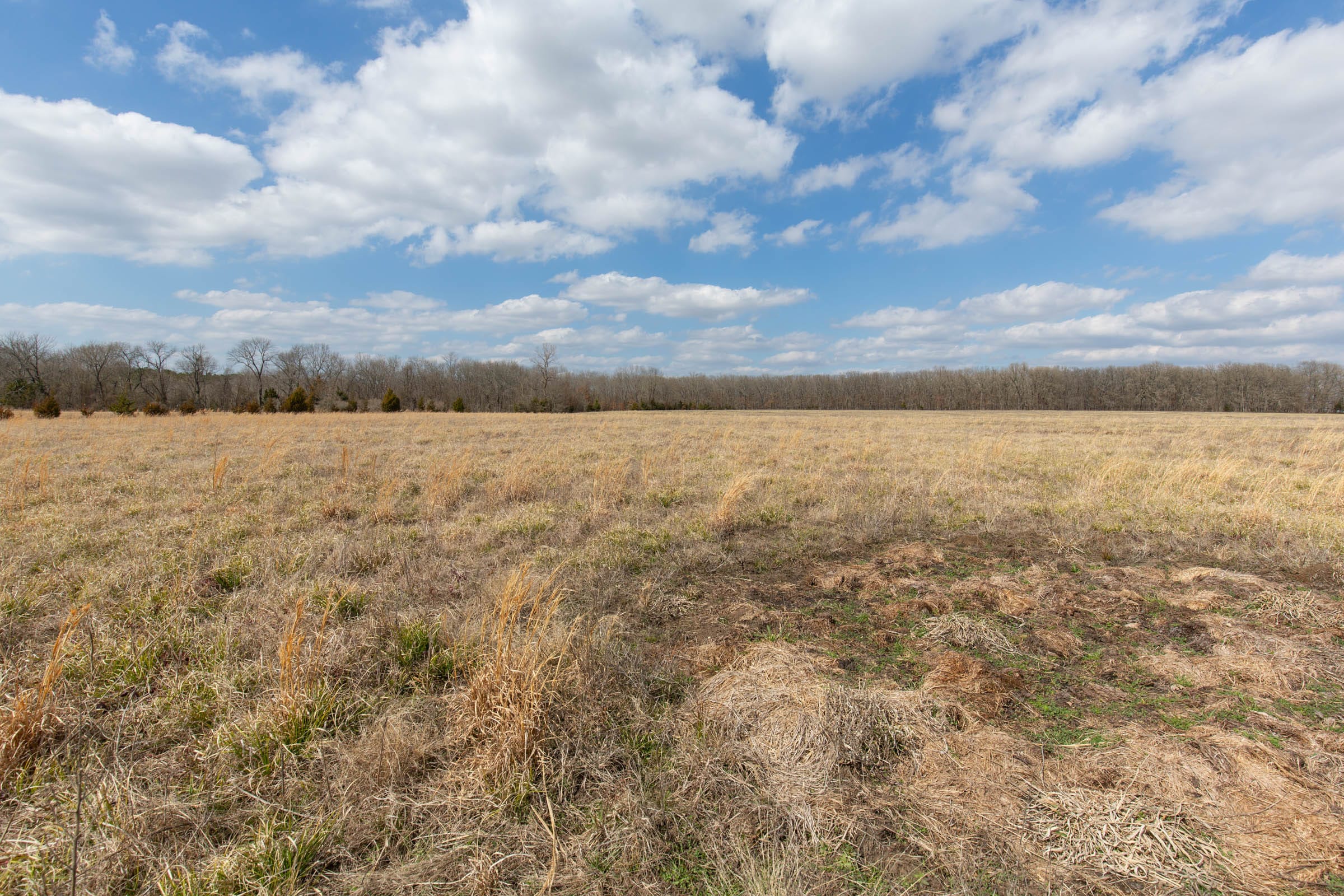 Wishing Star Ranch Tract 99 photo 4