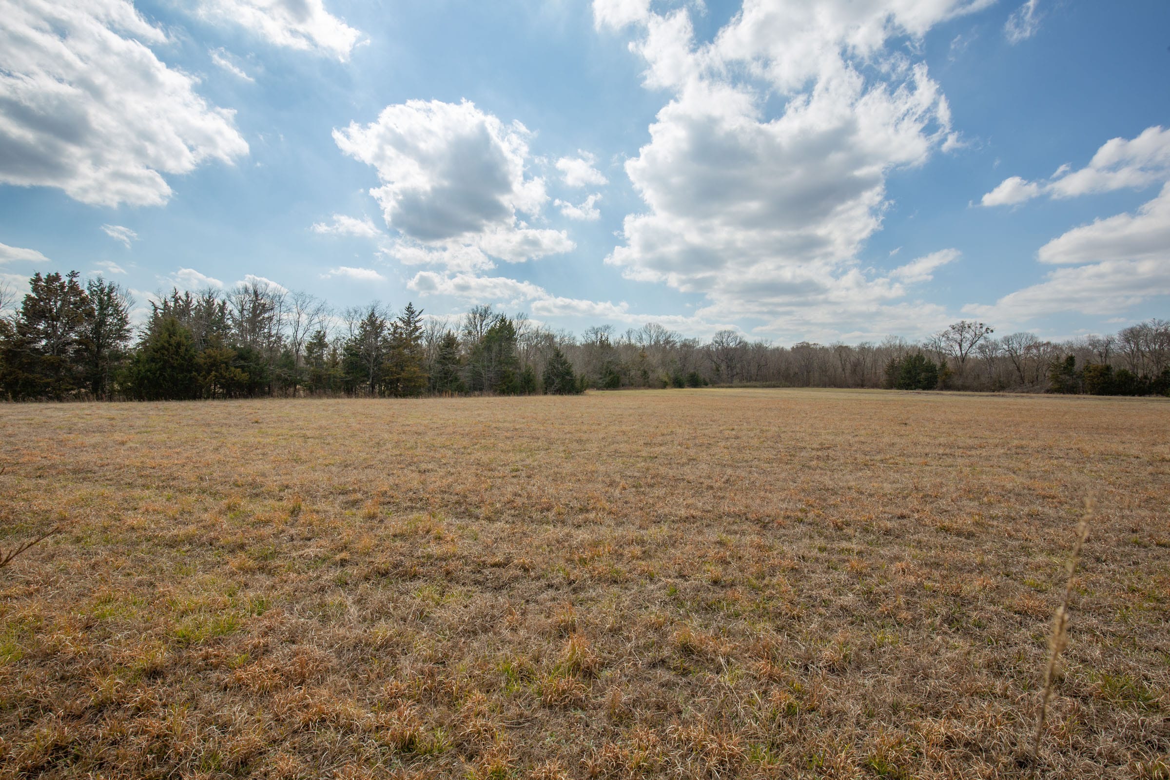 Wishing Star Ranch Tract 99 photo 8