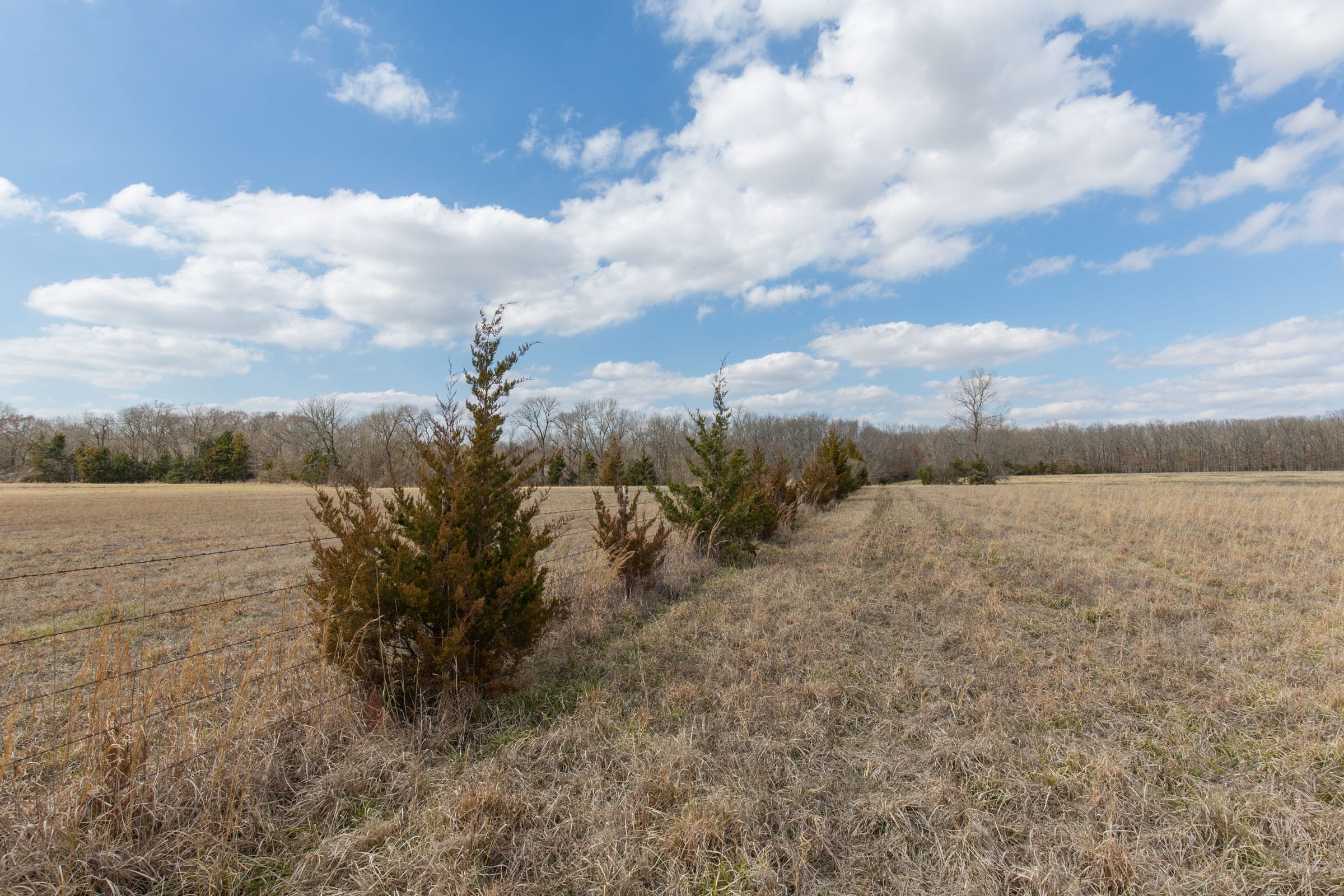 Wishing Star Ranch Tract 99 photo 11