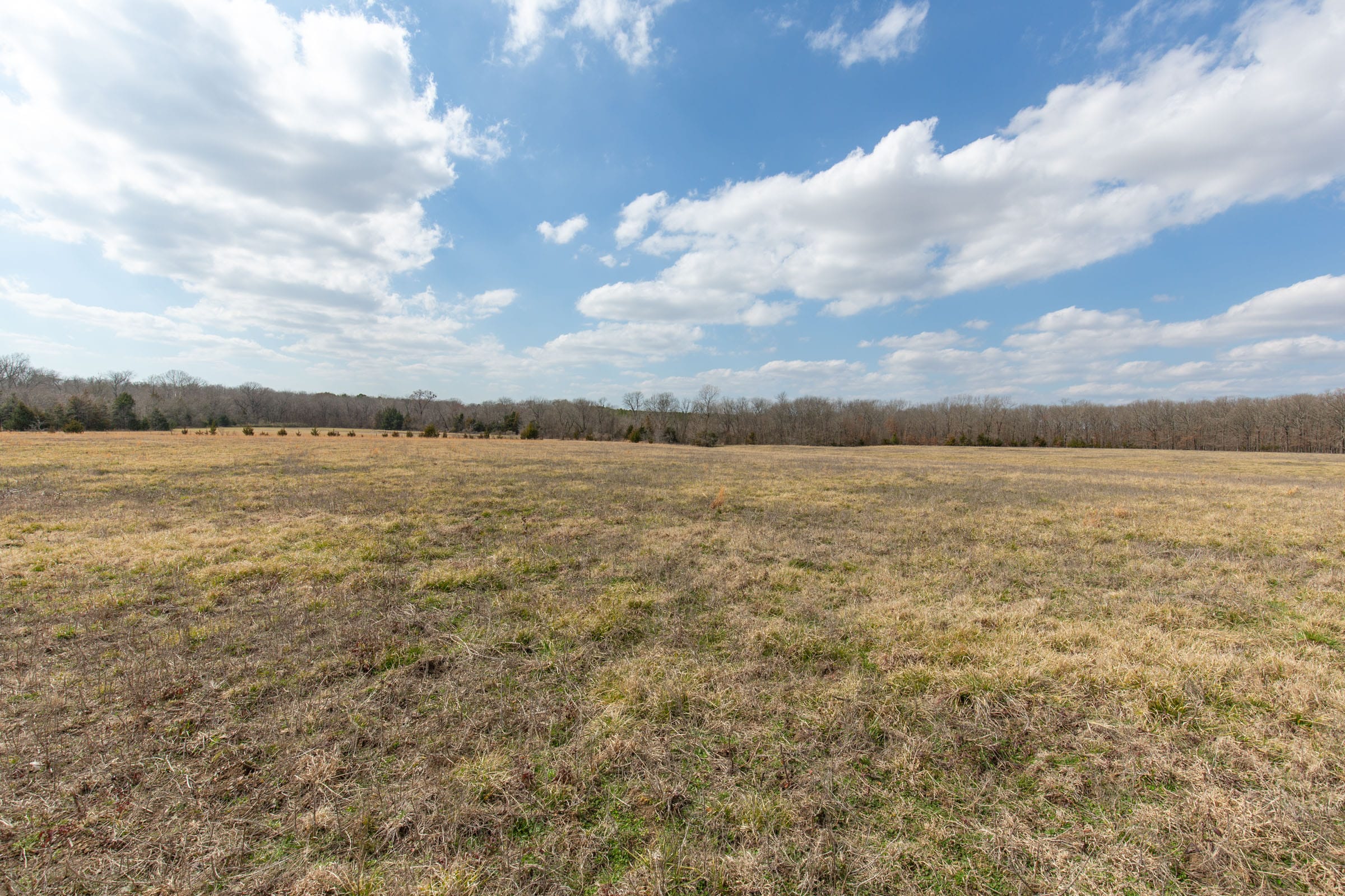 Wishing Star Ranch Tract 99 photo 12