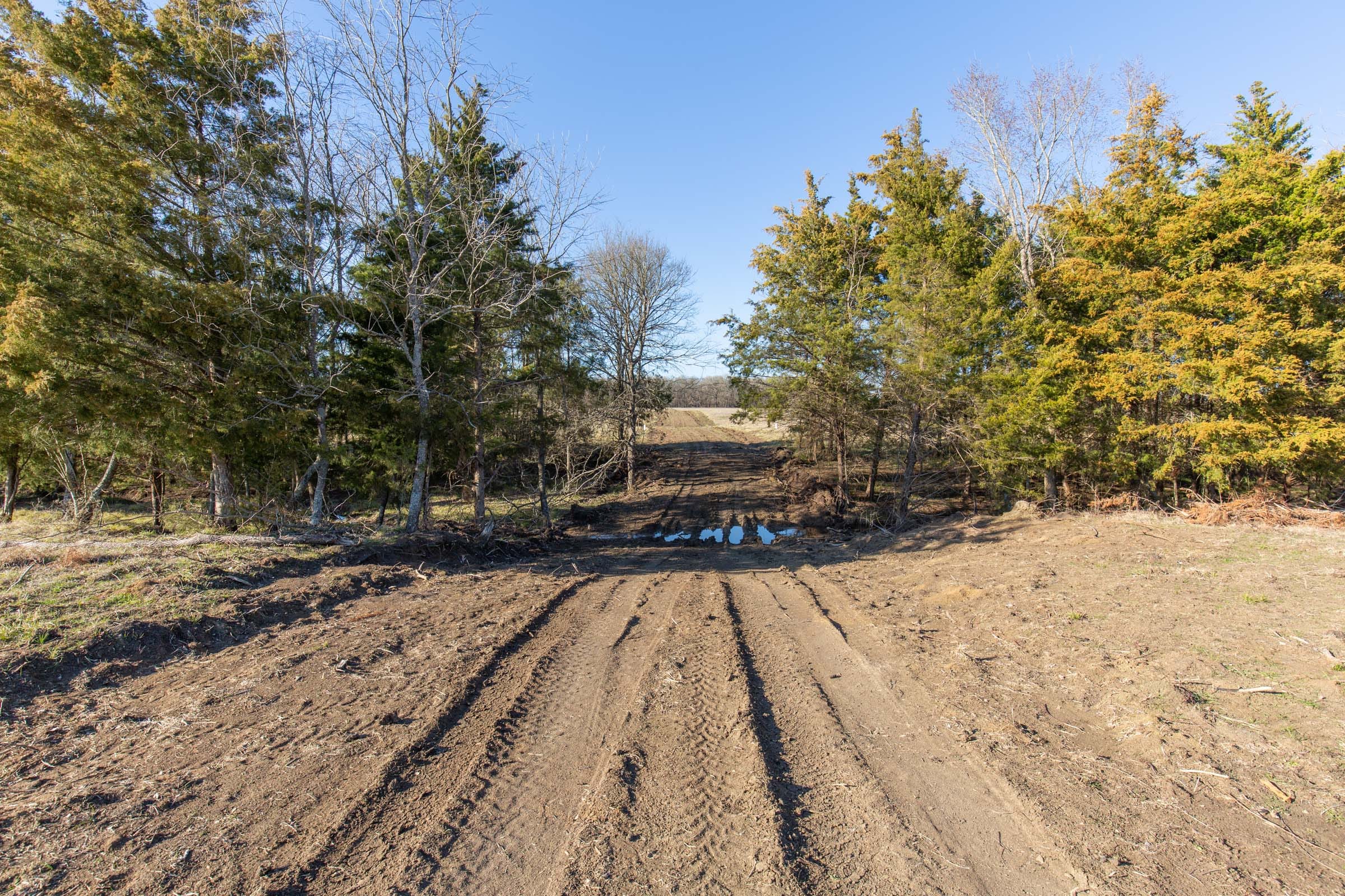 Wishing Star Ranch Tract 75 photo 5