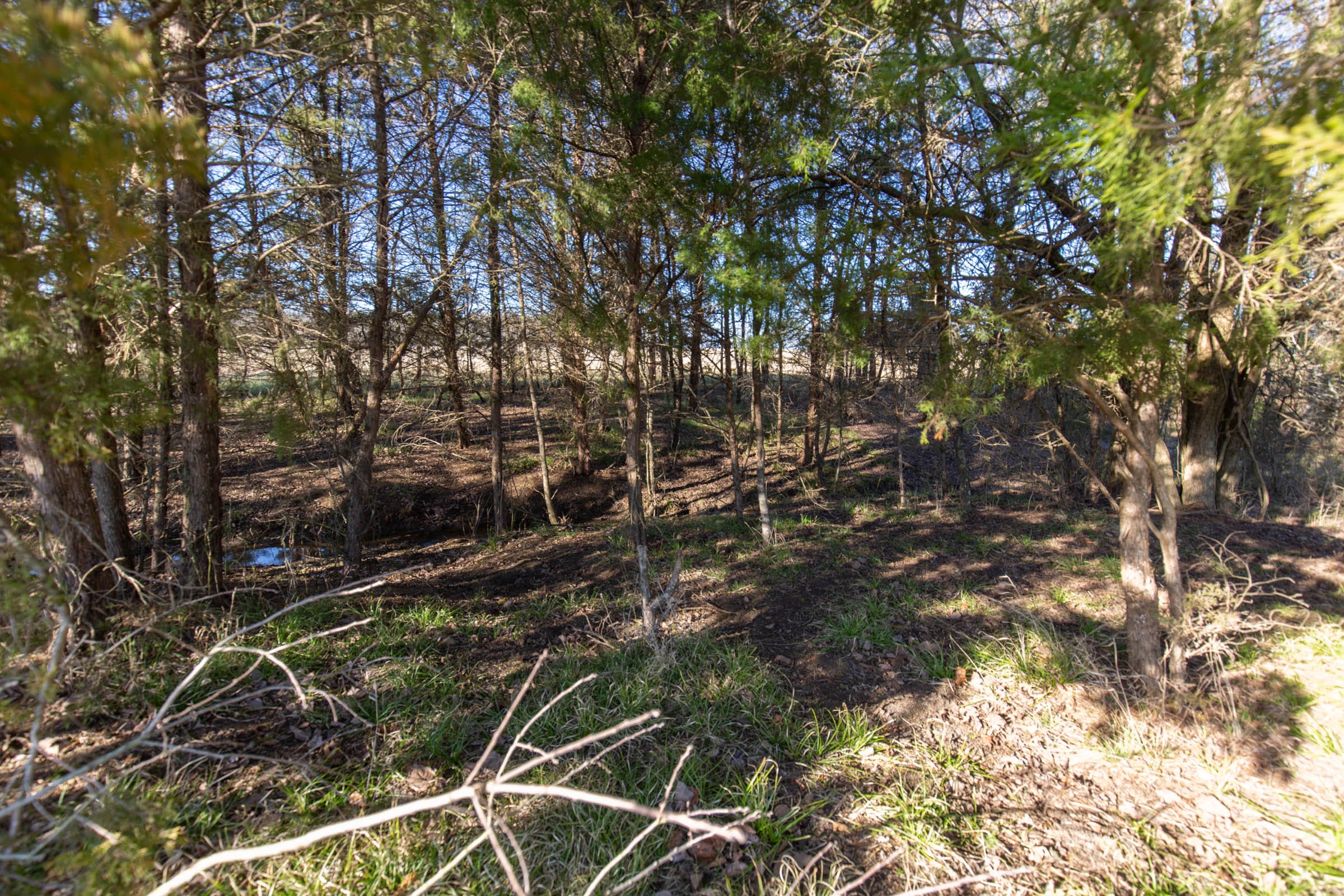Wishing Star Ranch Tract 75 photo 6