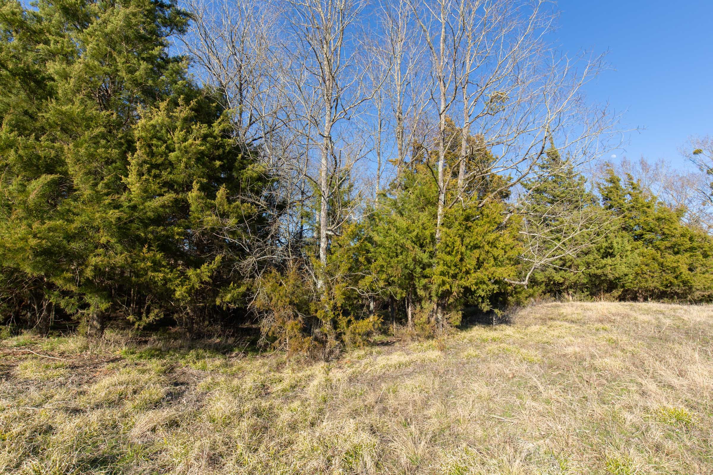 Wishing Star Ranch Tract 75 photo 7