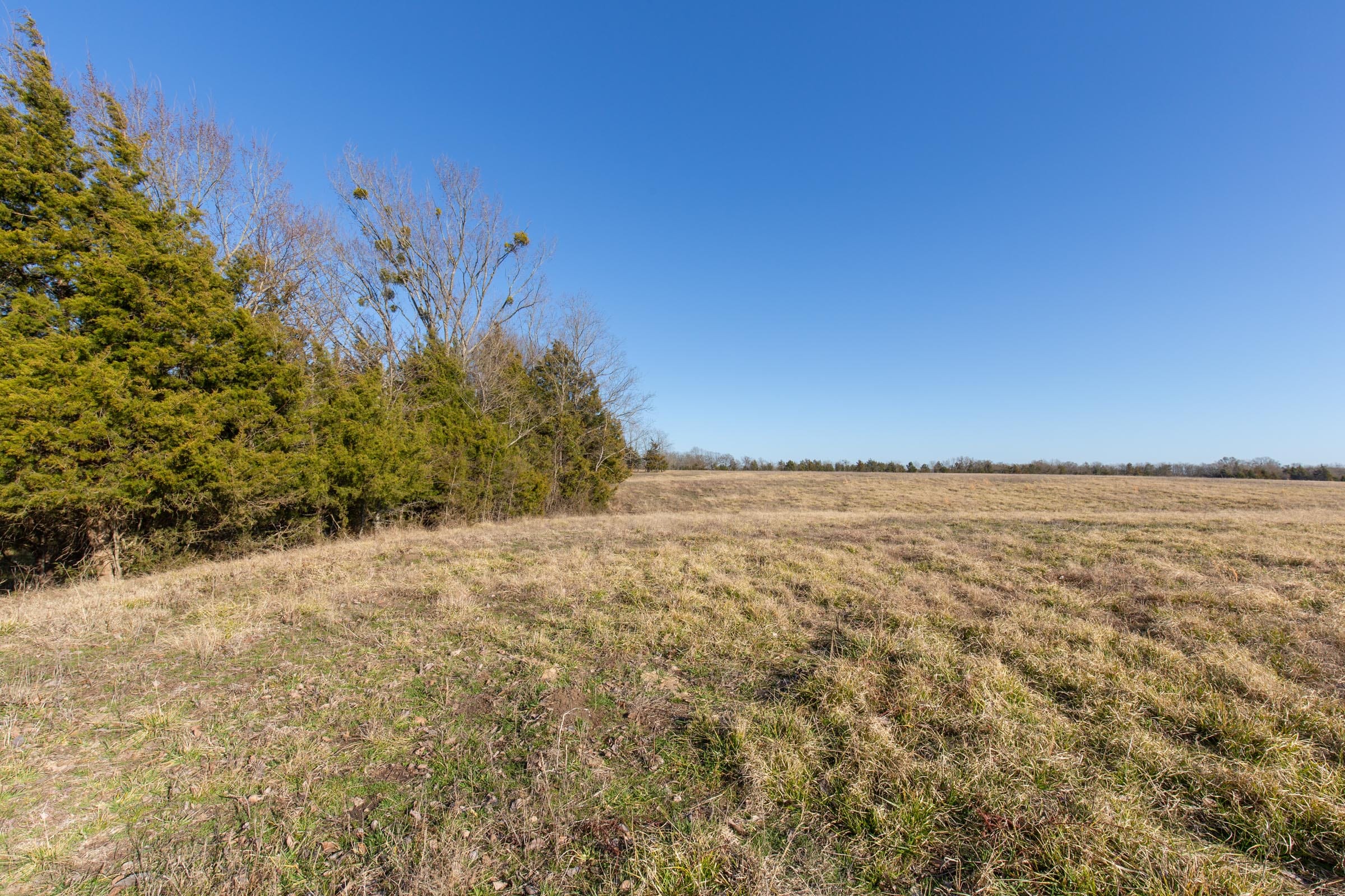Wishing Star Ranch Tract 75 photo 8