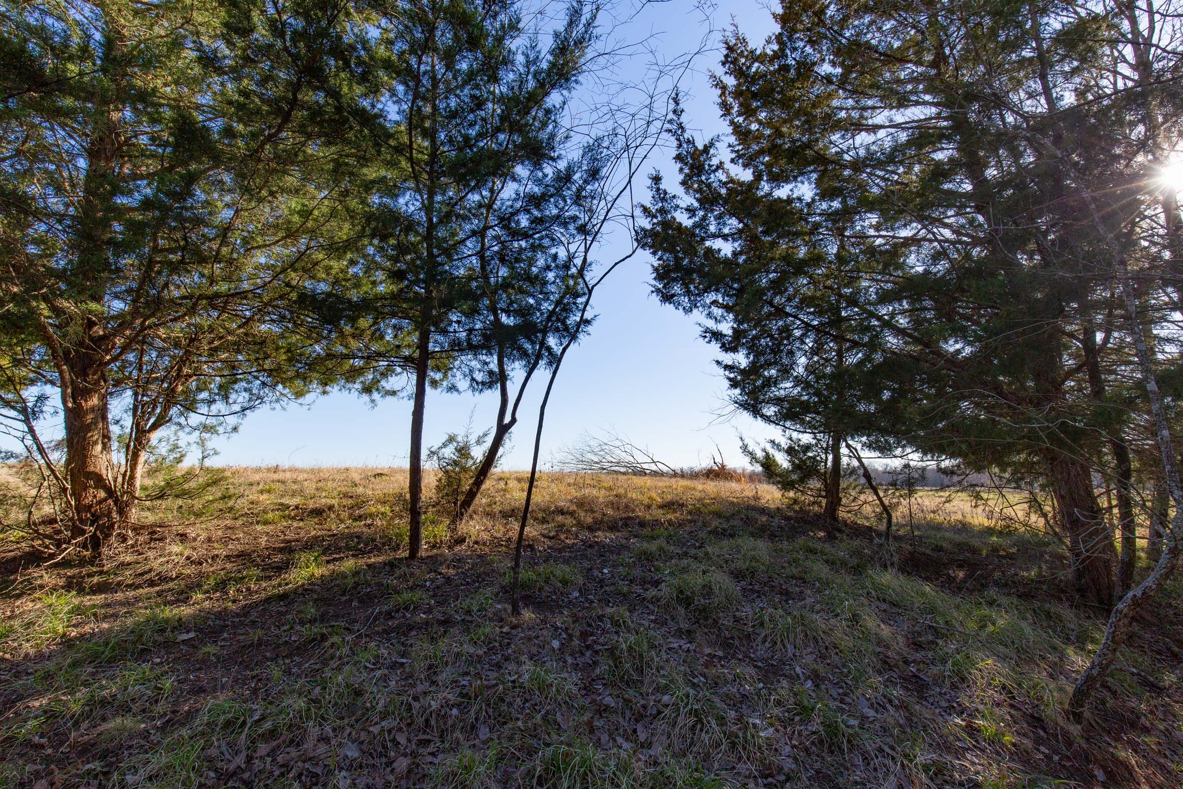 Wishing Star Ranch Tract 75 photo 11