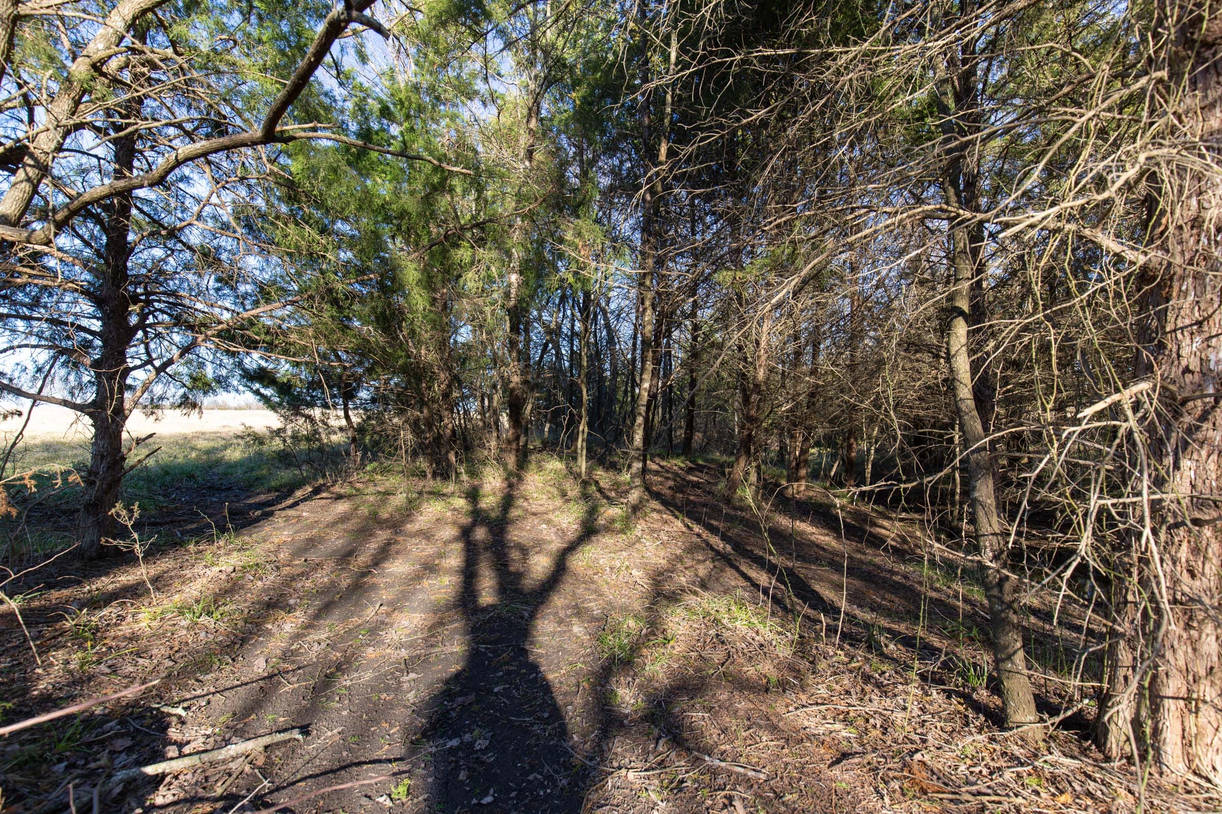Wishing Star Ranch Tract 75 photo 12