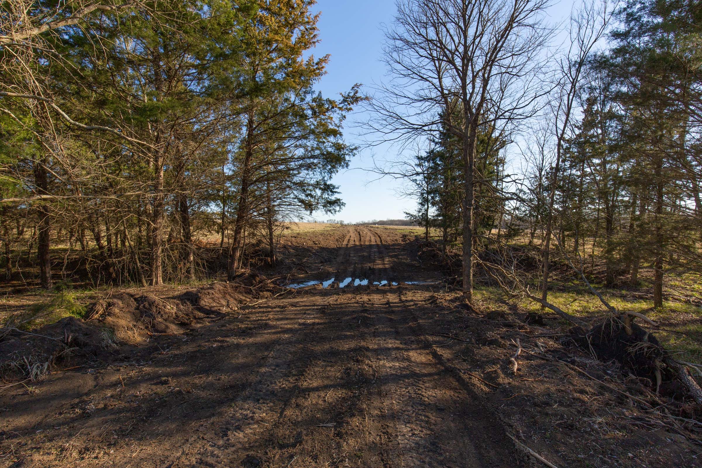 Wishing Star Ranch Tract 75 photo 15
