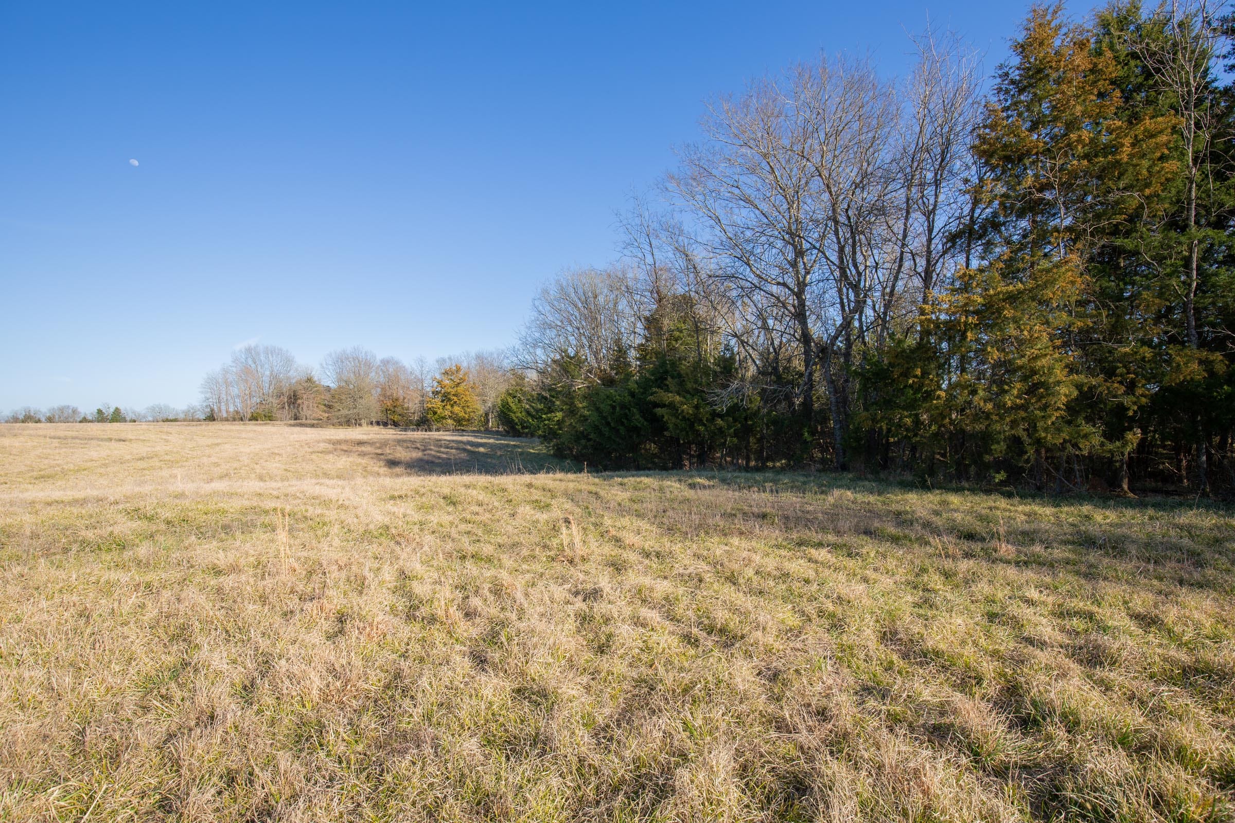Wishing Star Ranch Tract 75 photo 13