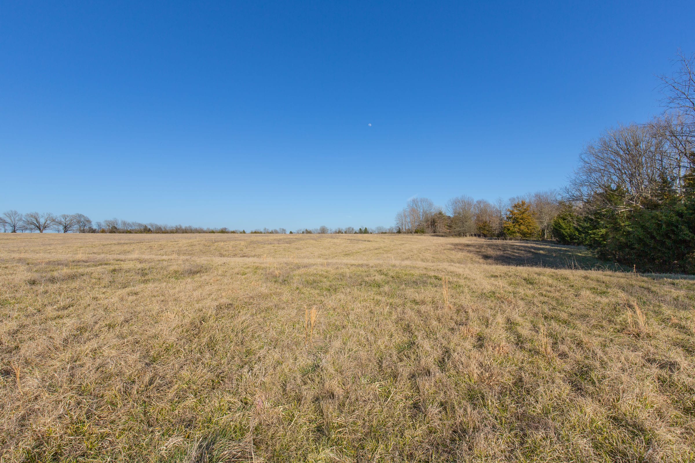 Wishing Star Ranch Tract 75 photo 14