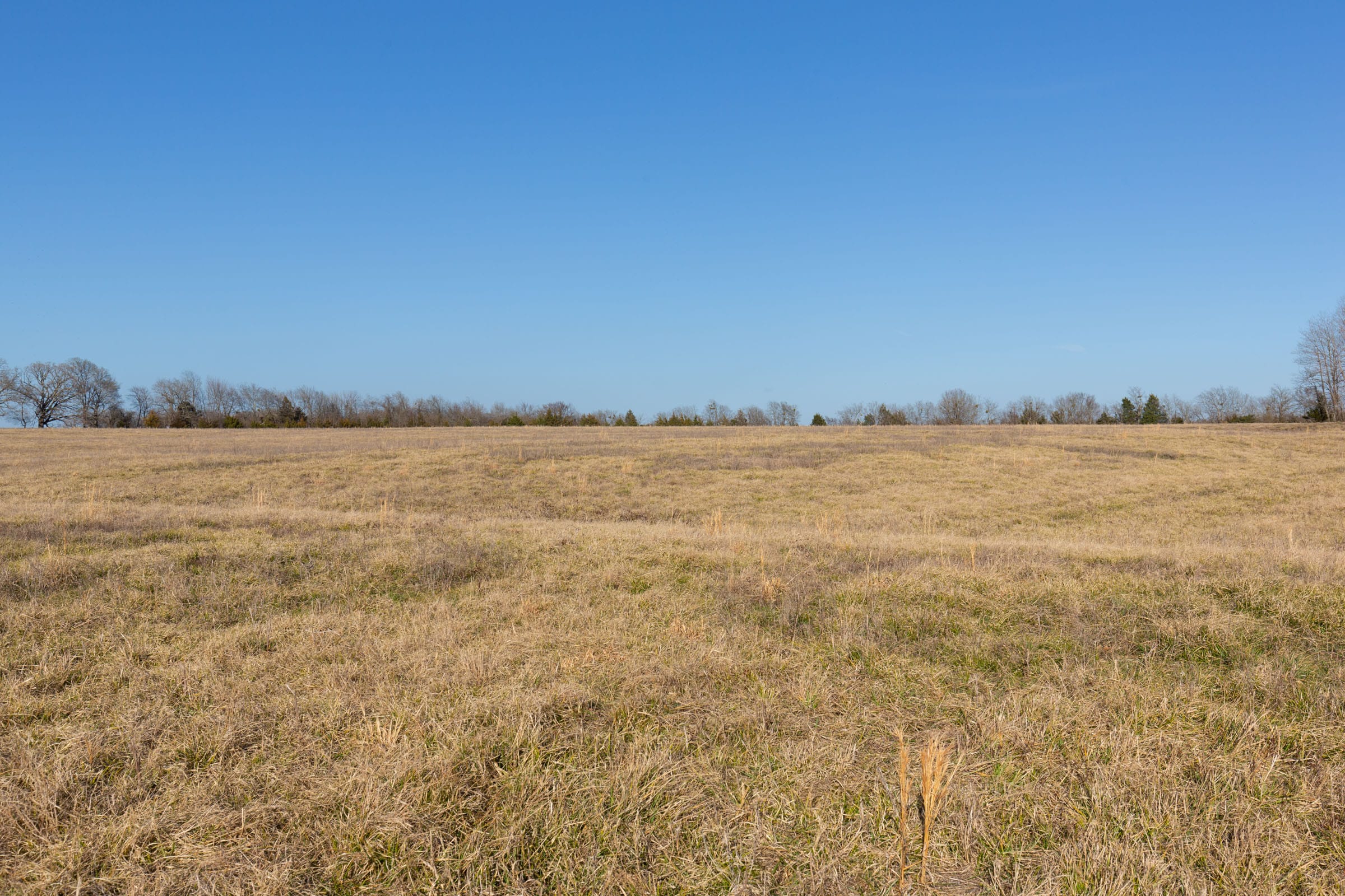 Wishing Star Ranch Tract 75 photo 16