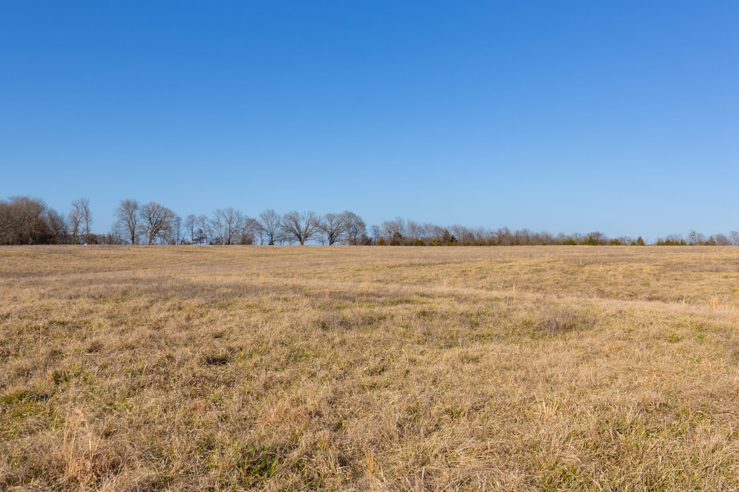 Wishing Star Ranch Tract 75 photo 17