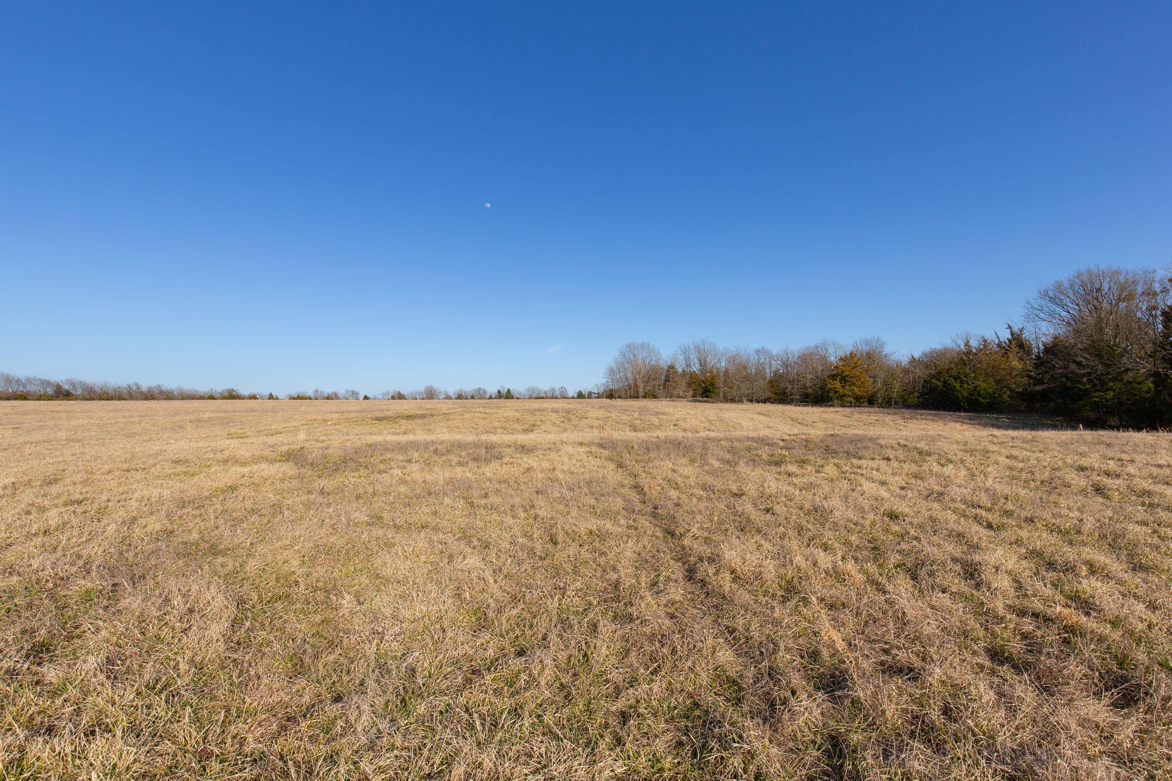 Wishing Star Ranch Tract 75 photo 18