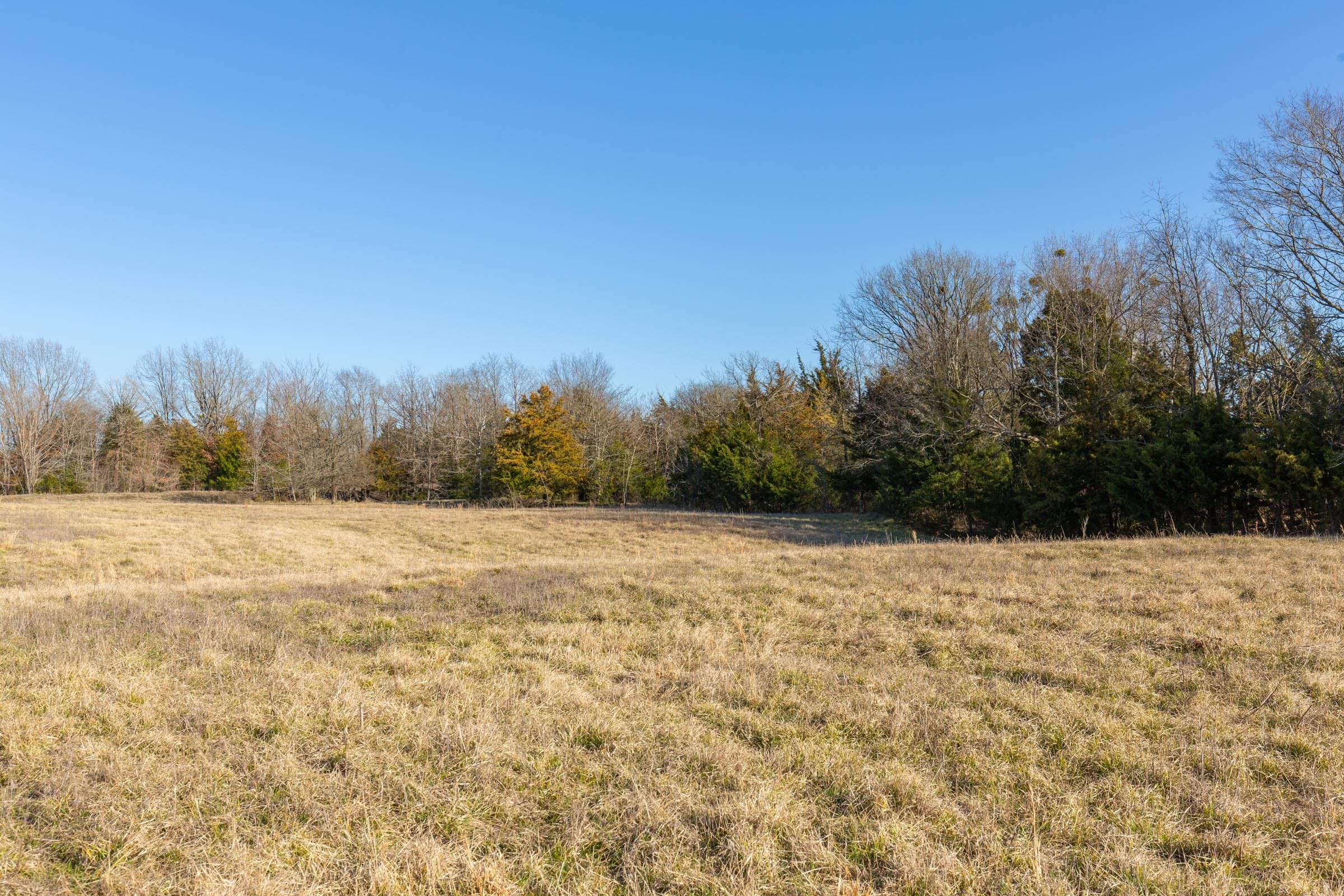 Wishing Star Ranch Tract 75 photo 19