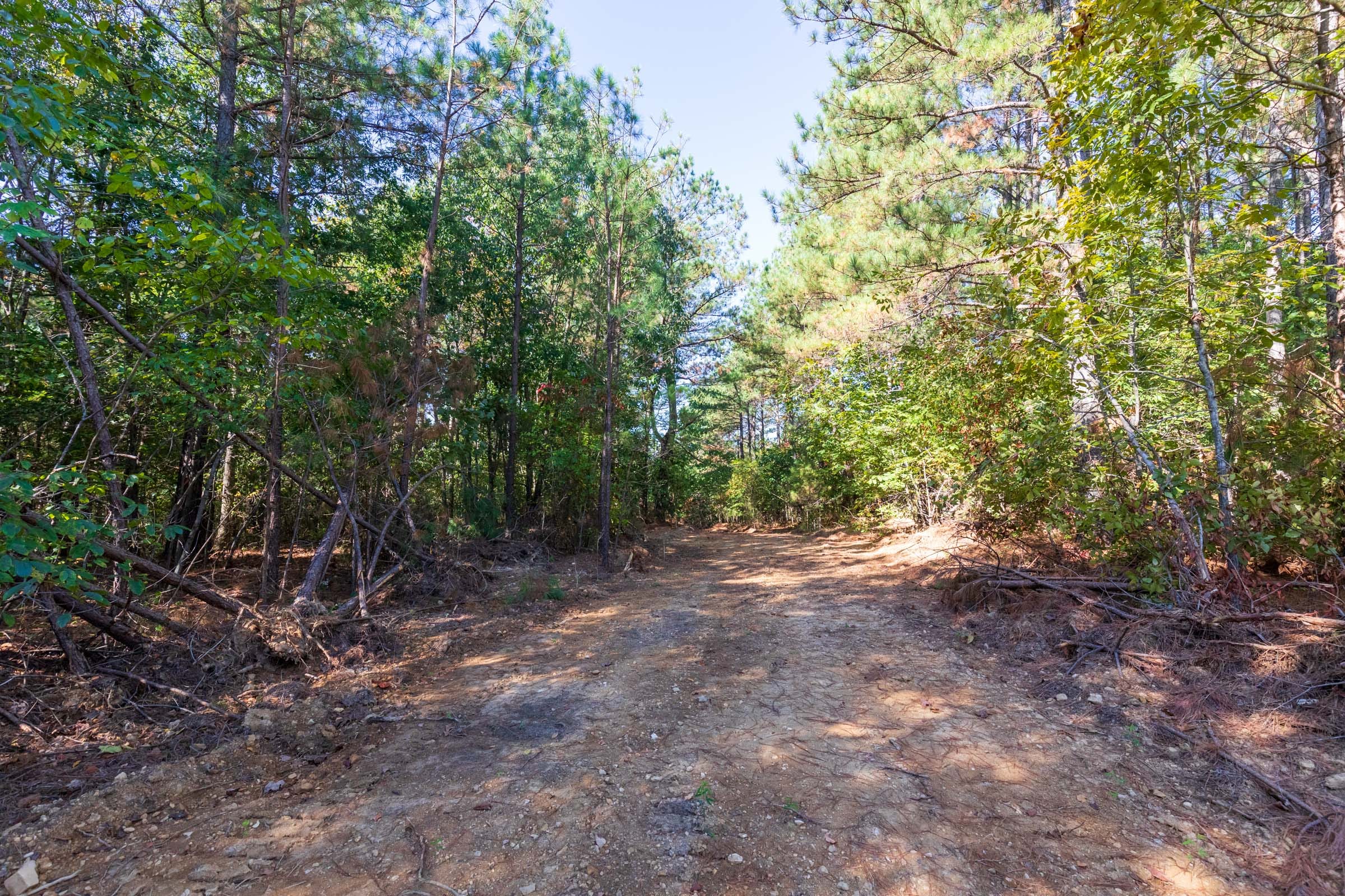 Bear Brook Tract 1 photo 11
