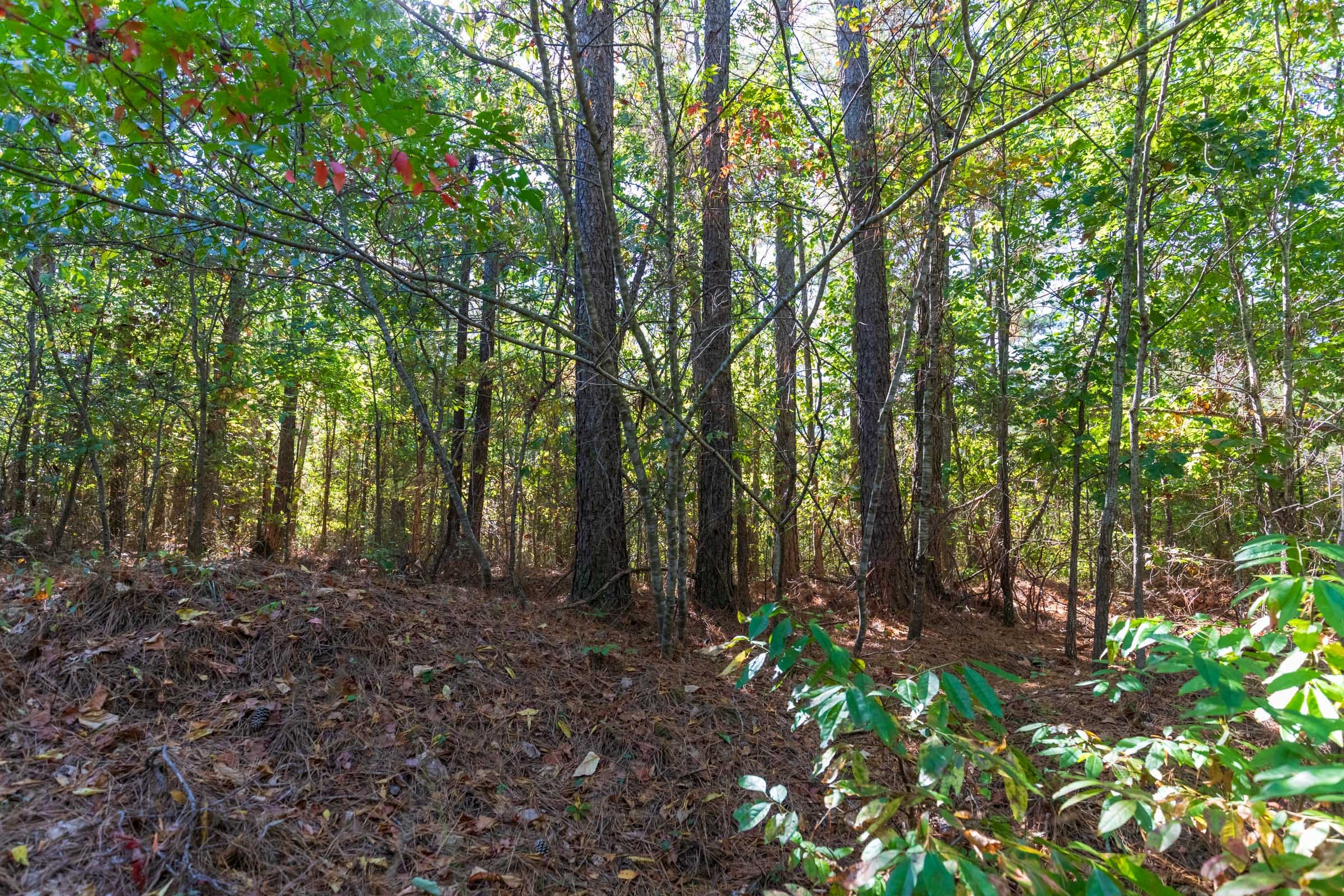 Bear Brook Tract 1 photo 7