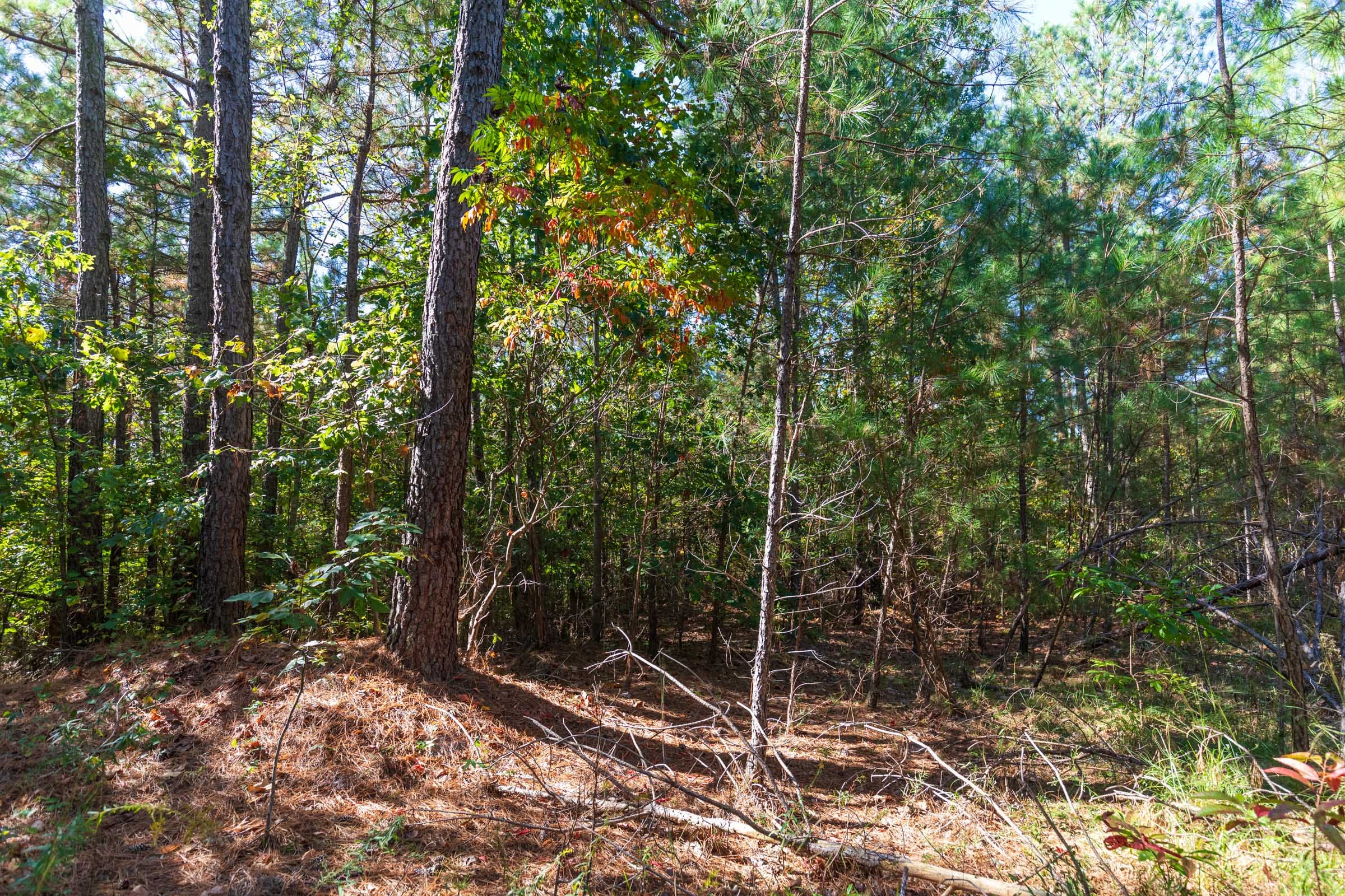 Bear Brook Tract 1 photo 8