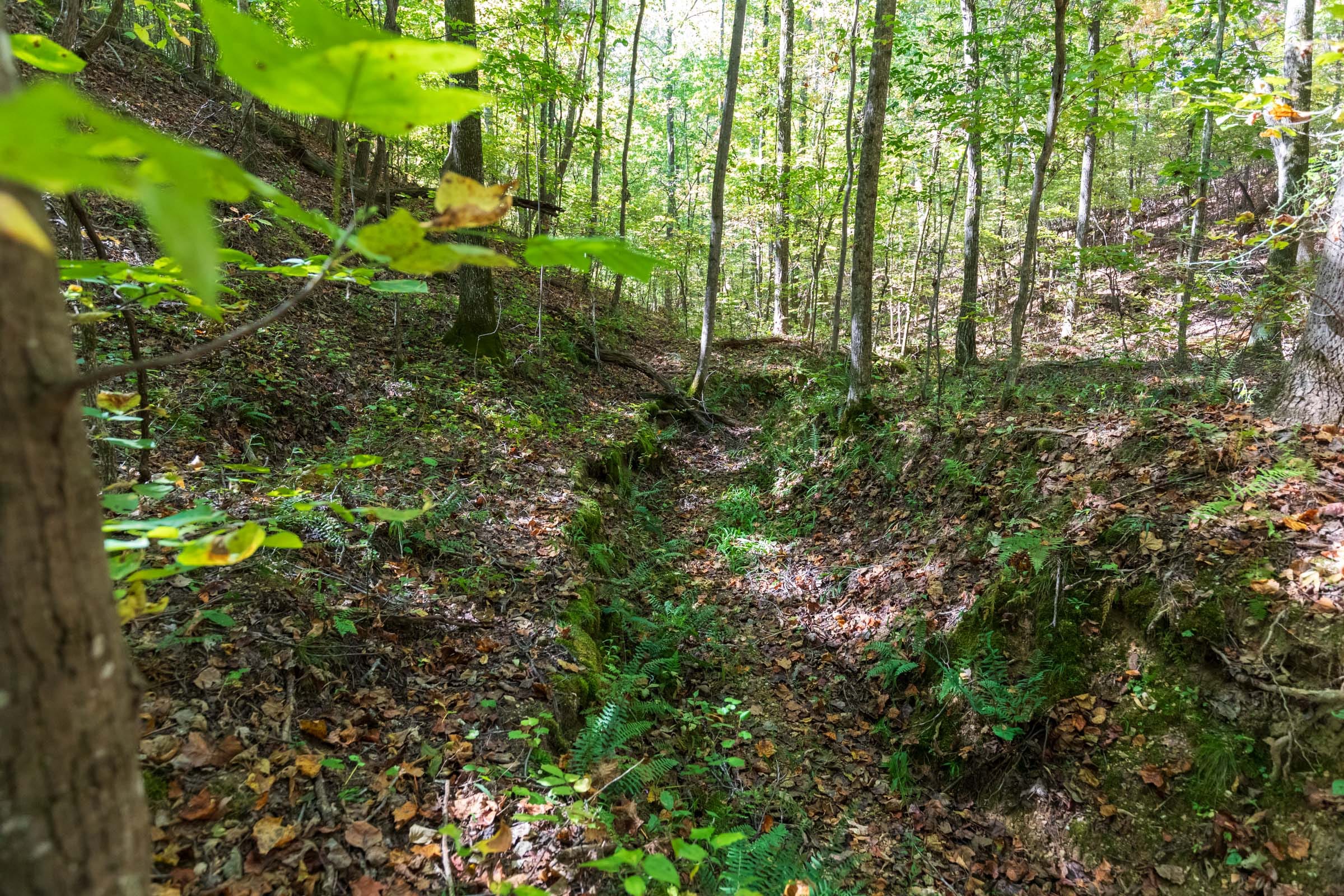 Bear Brook Tract 1 photo 9