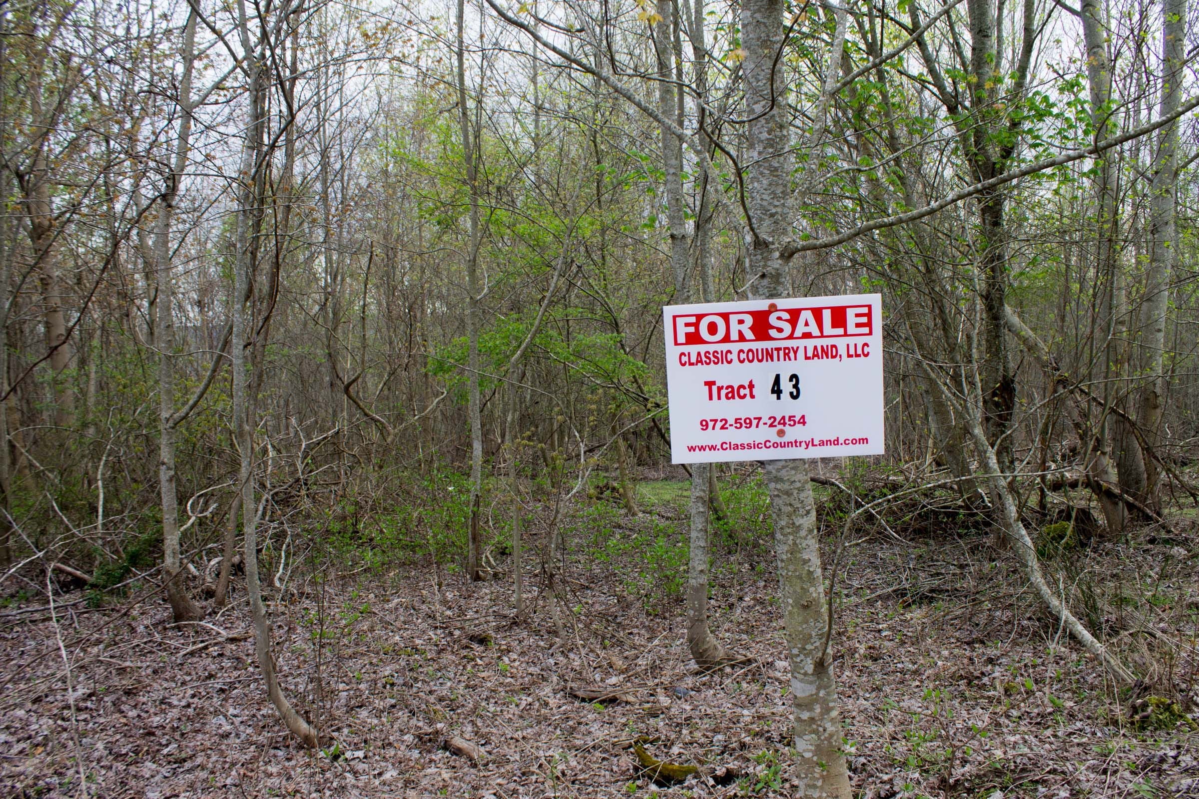 Hidden Hills Tract 43 photo 1