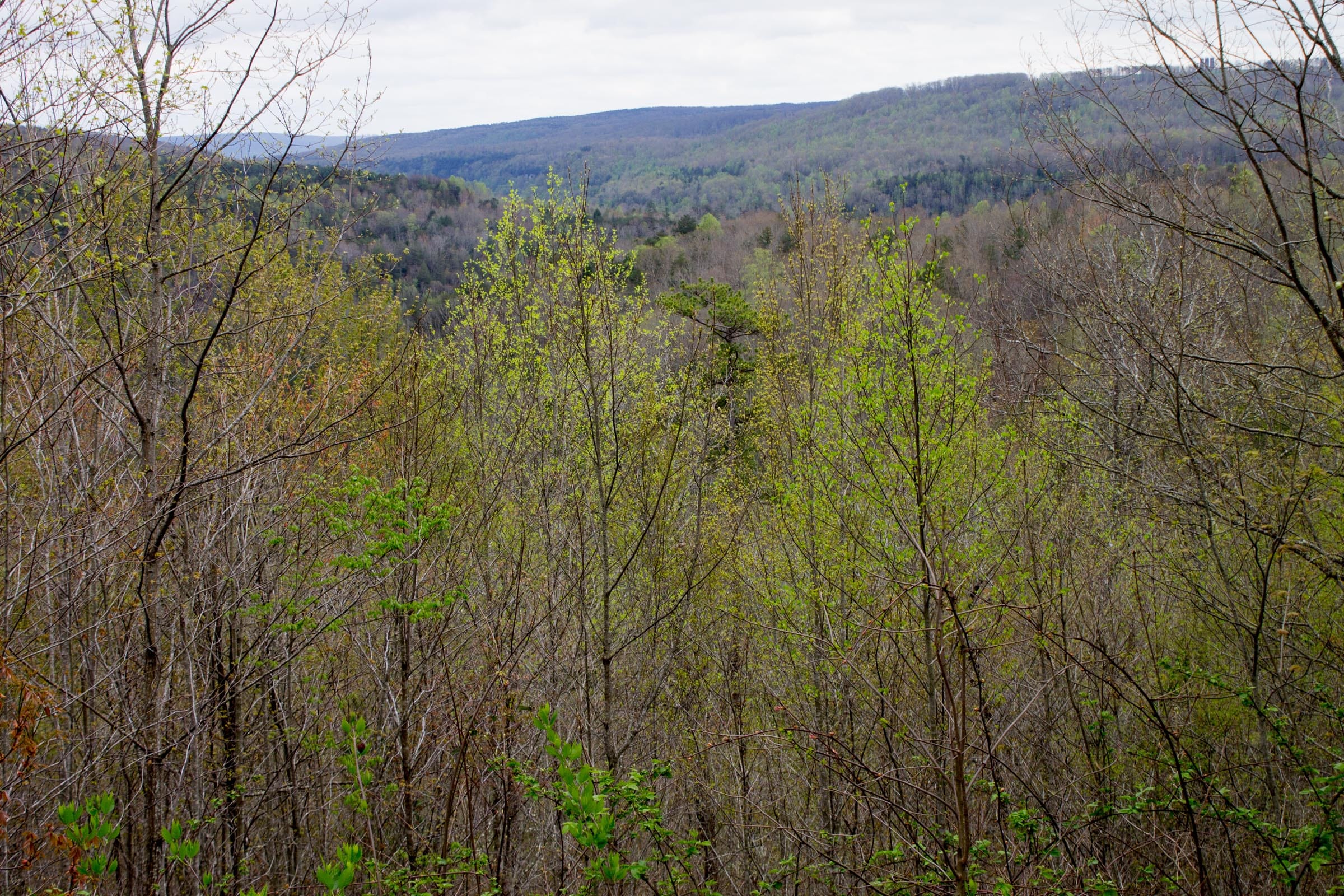 Hidden Hills Tract 43 photo 5
