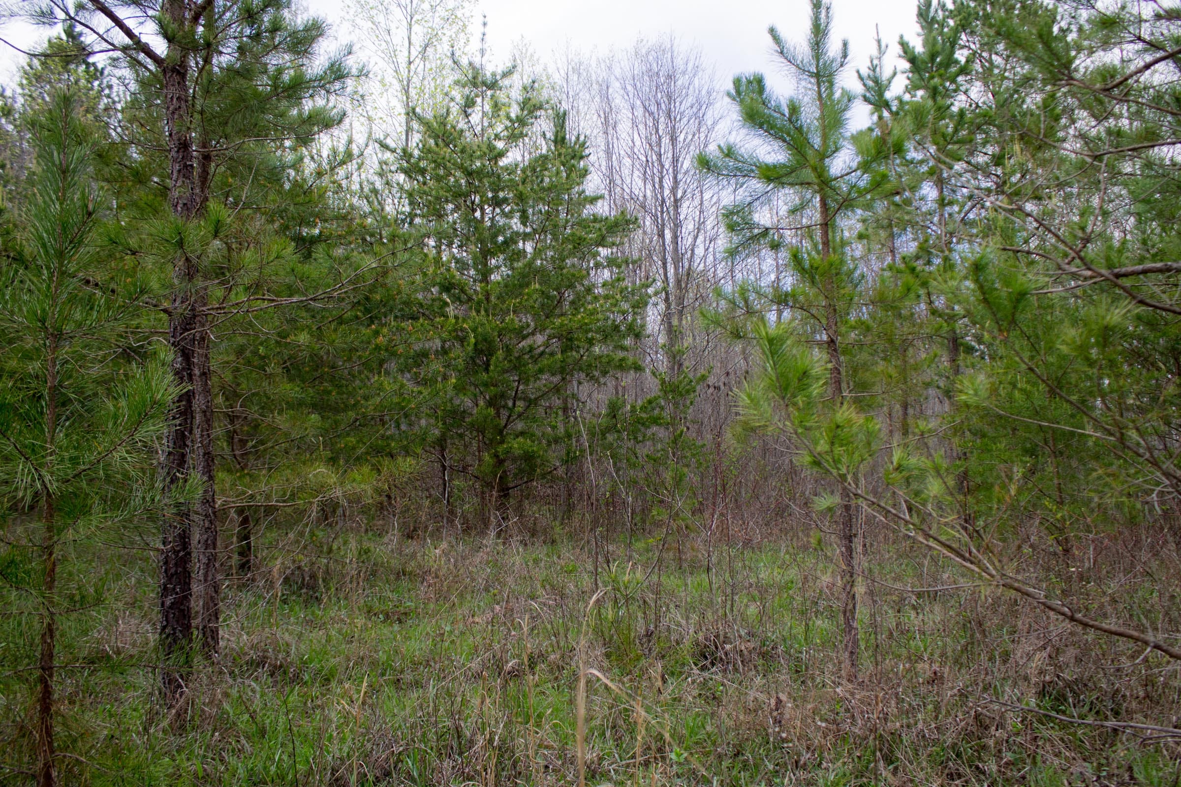 Hidden Hills Tract 43 photo 11