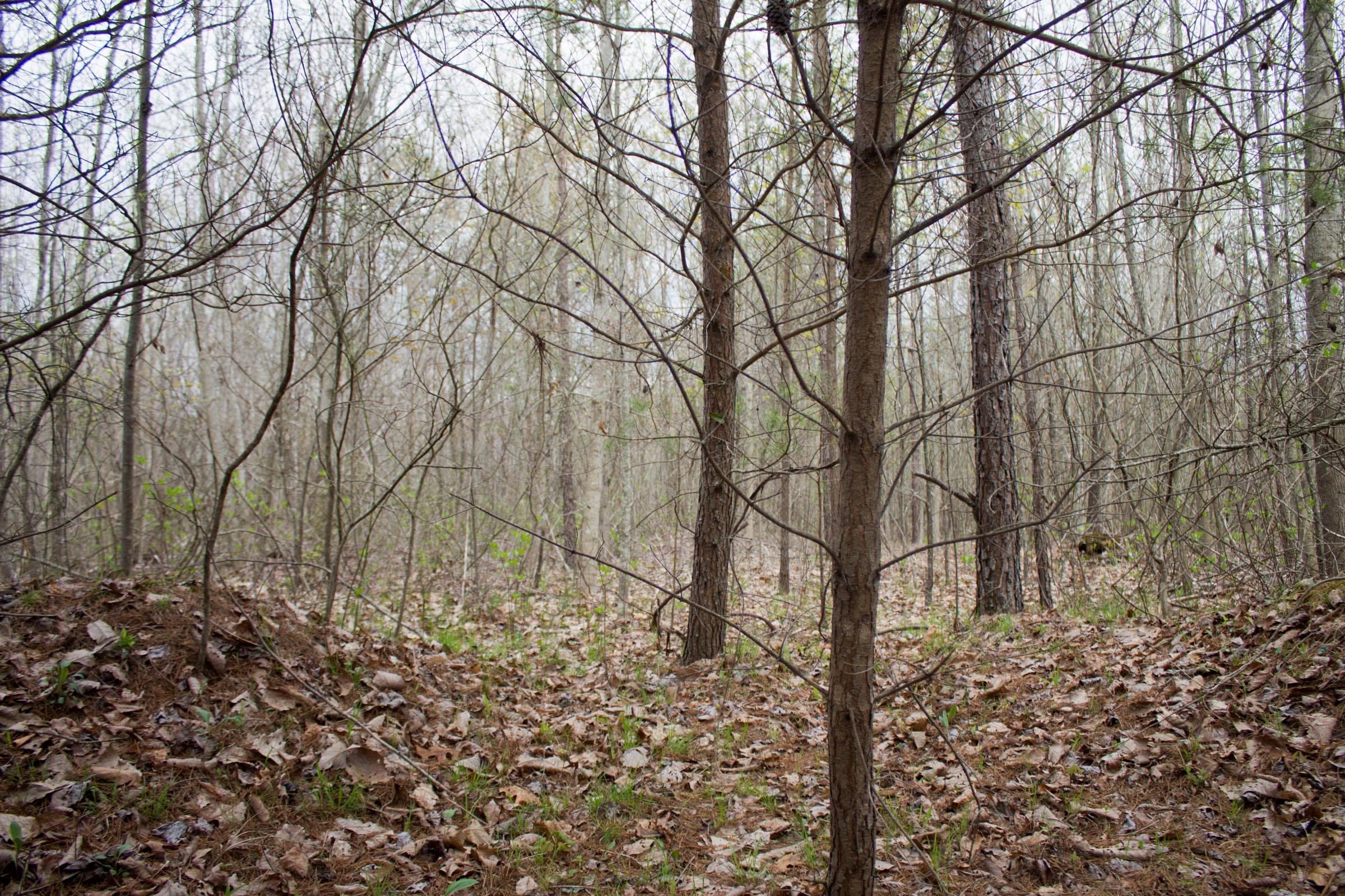 Hidden Hills Tract 43 photo 12